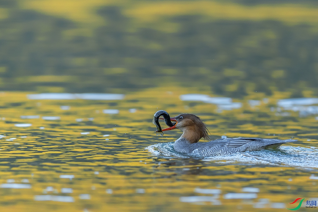 0F7A1780 ����.jpg