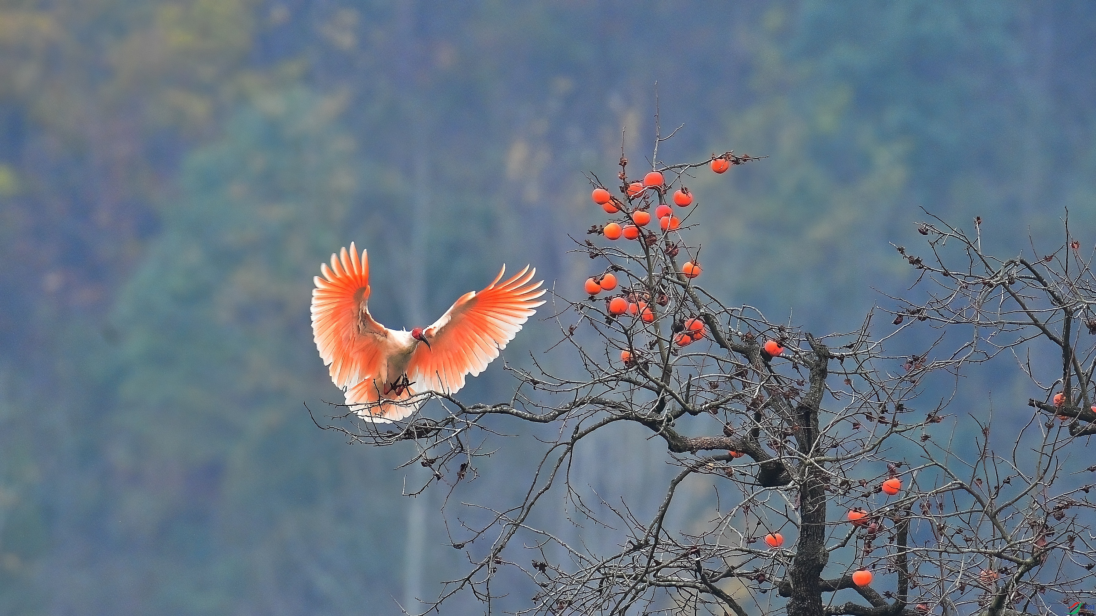 �q�q���� ��������.jpg