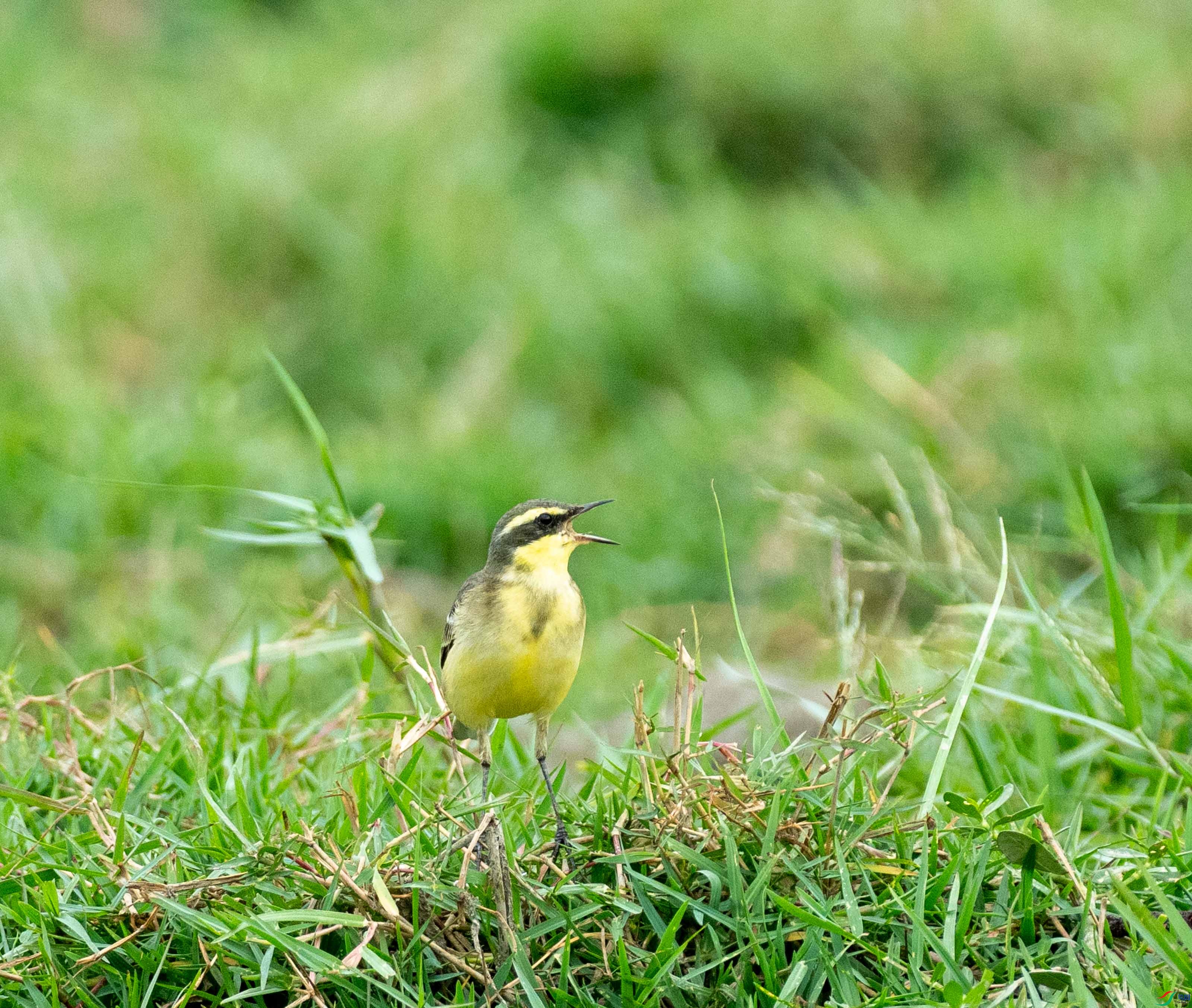 HCG09426-6.jpg
