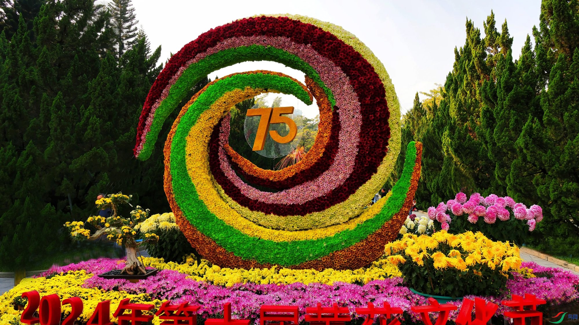 2F5A3665_����_����.jpg