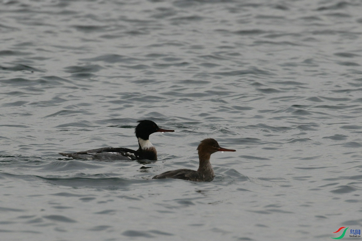 DSC20241212665.jpg