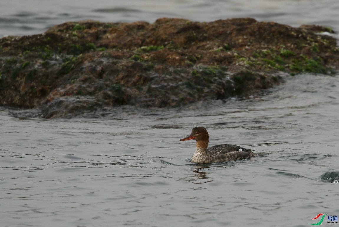 DSC20241212559.jpg