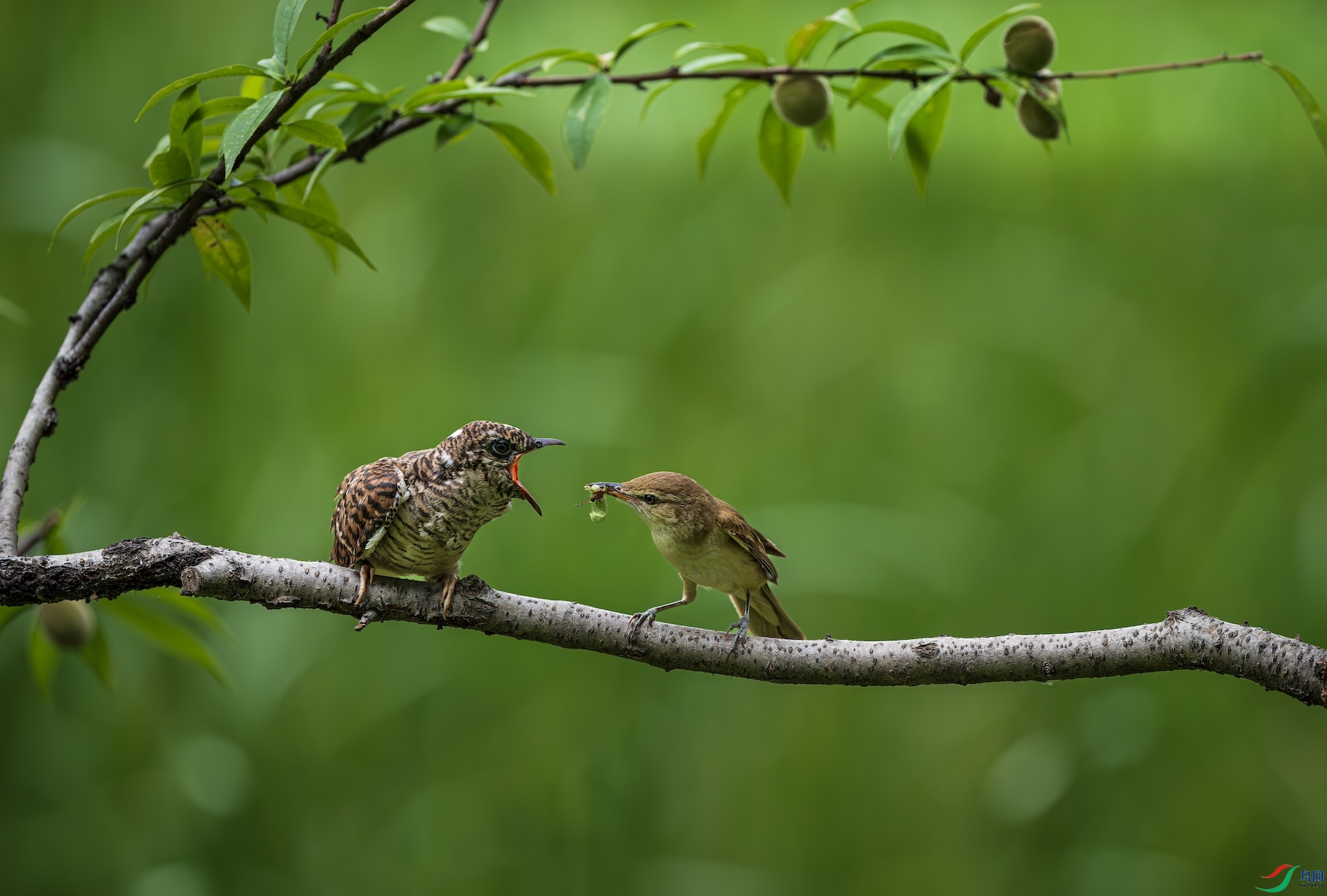 1_DSC2559-����ǿ-NR ����.jpeg