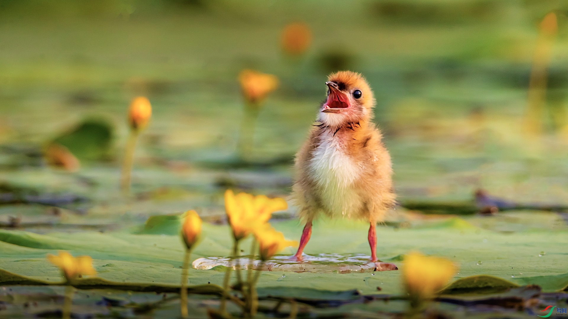 1_M1I7961-1 ���� 2.jpeg