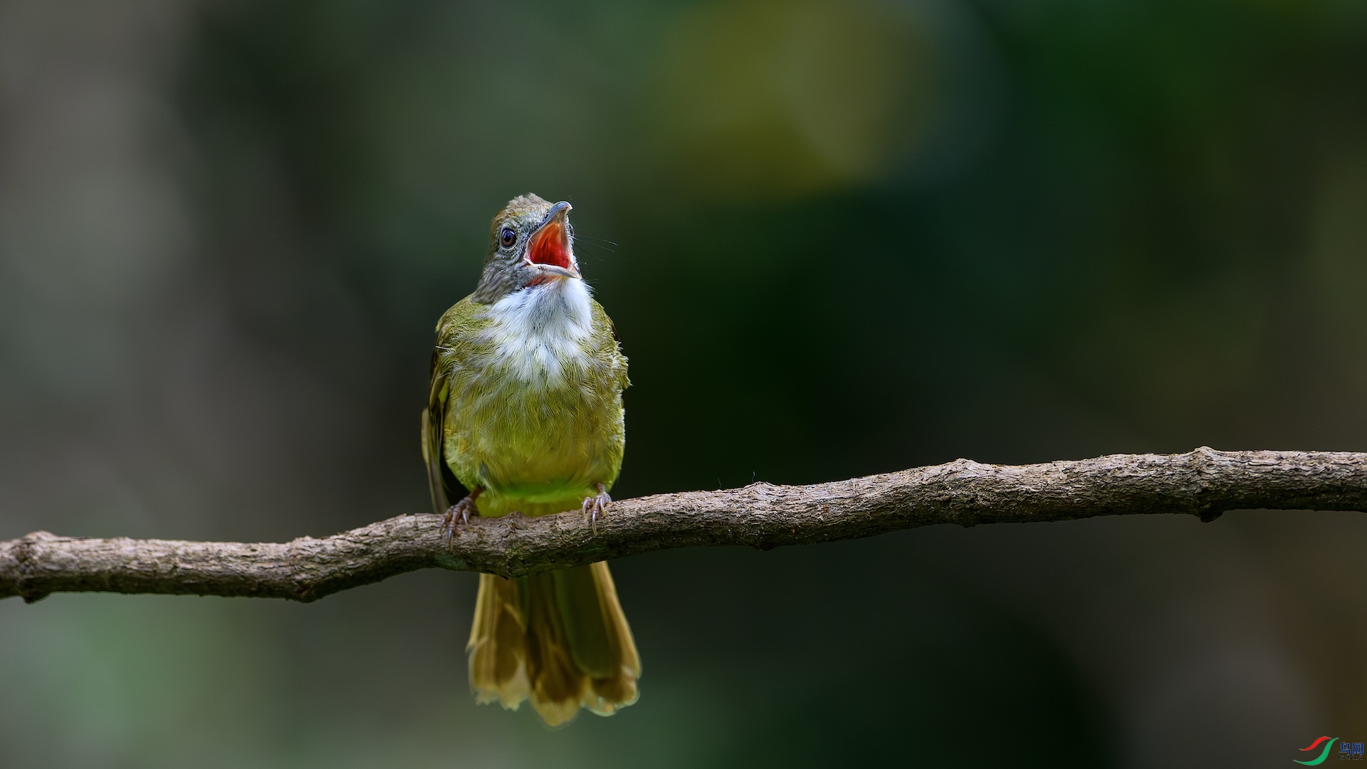 1_XXL1165-����ǿ-NR ���� 2.jpeg