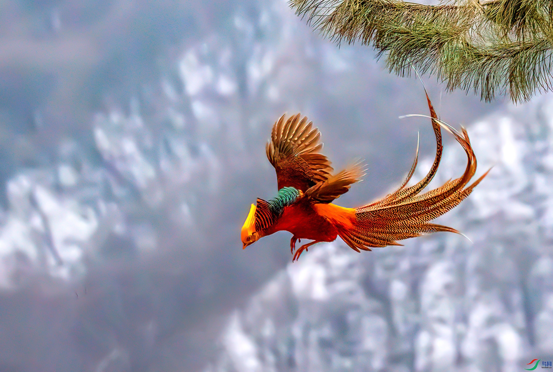 407A3311 ����-Sh---1  .jpg