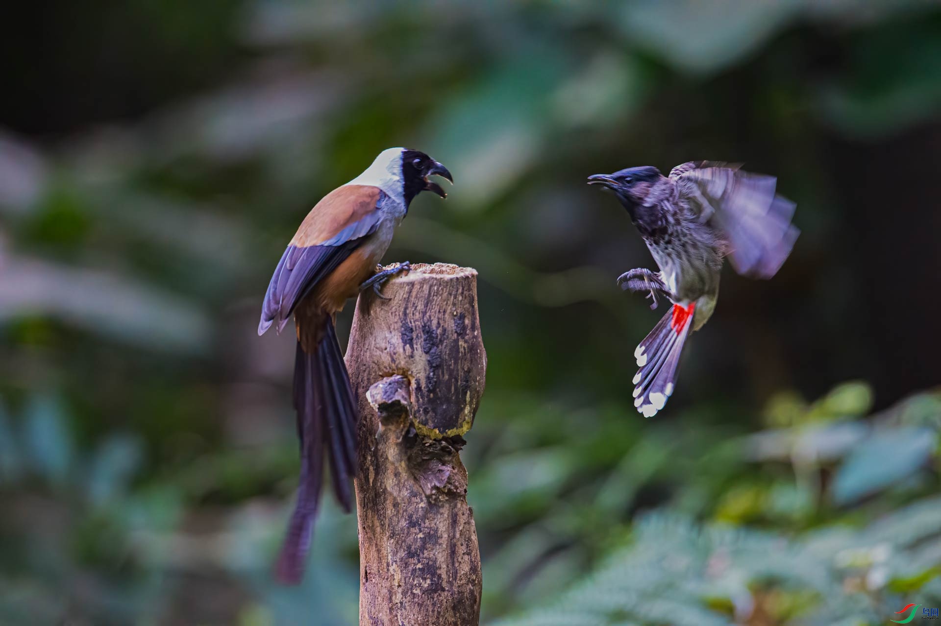 DSC_5111.jpg