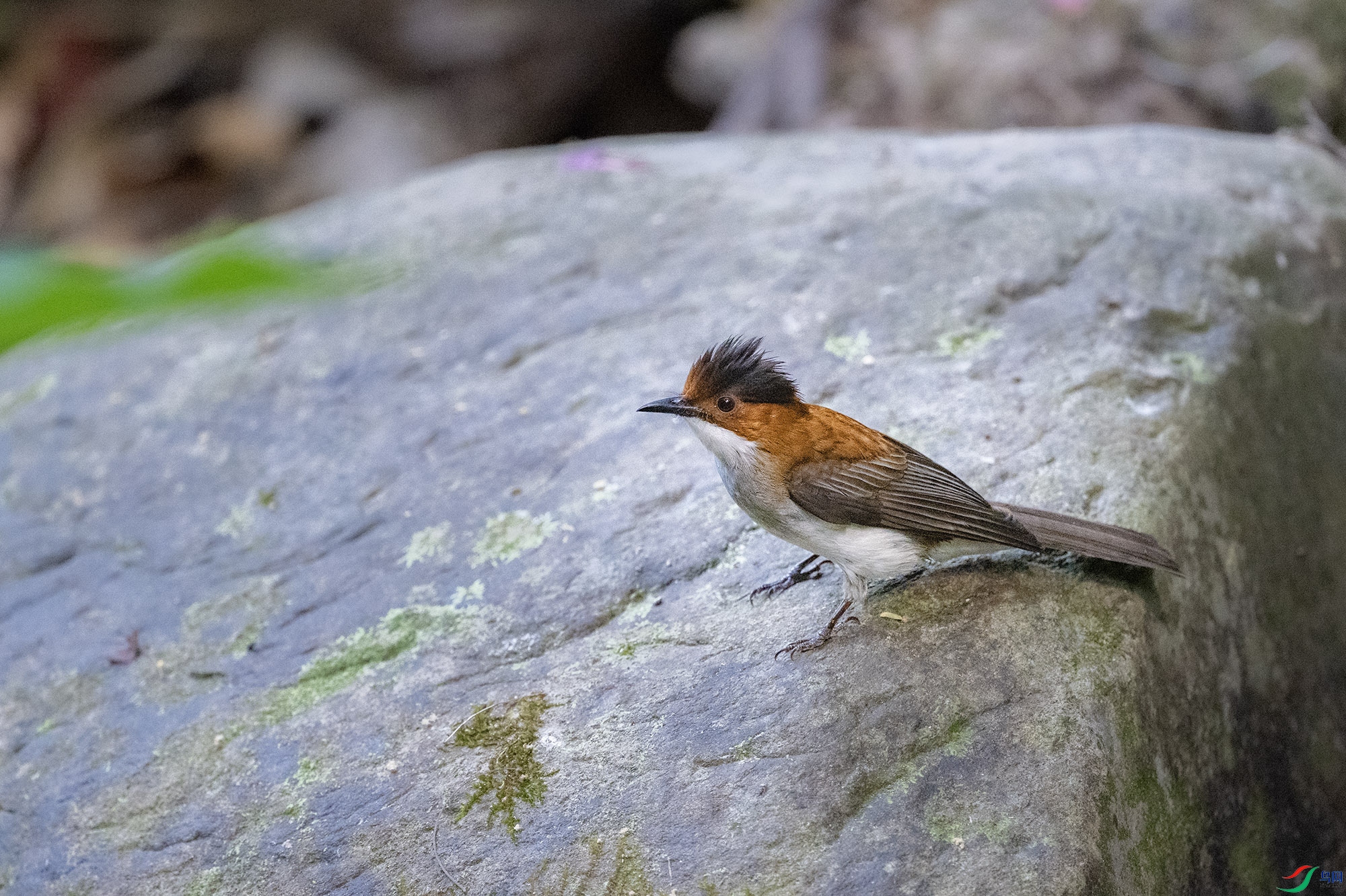 DSC_7645.jpg