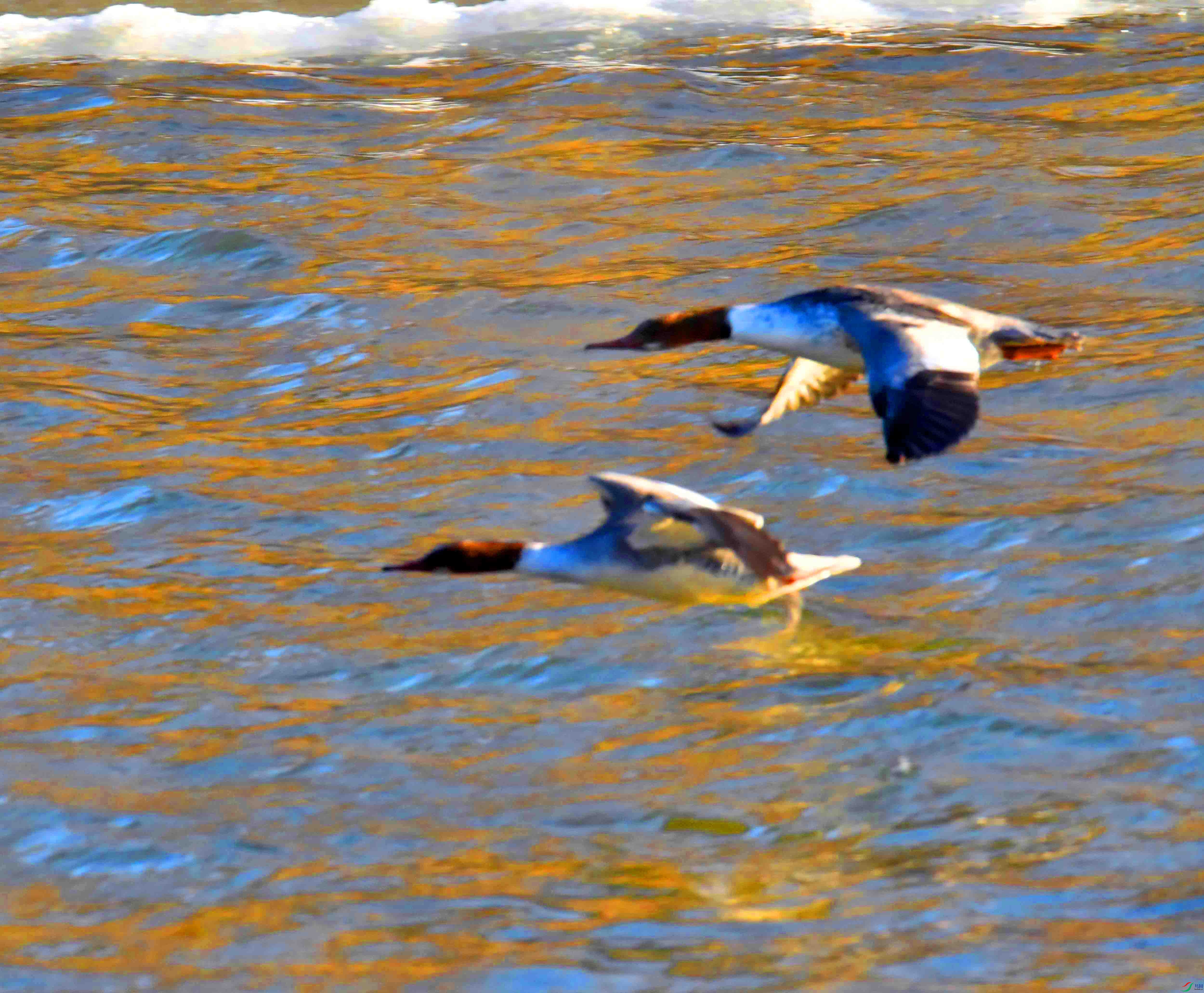 DSC_8846.JPG