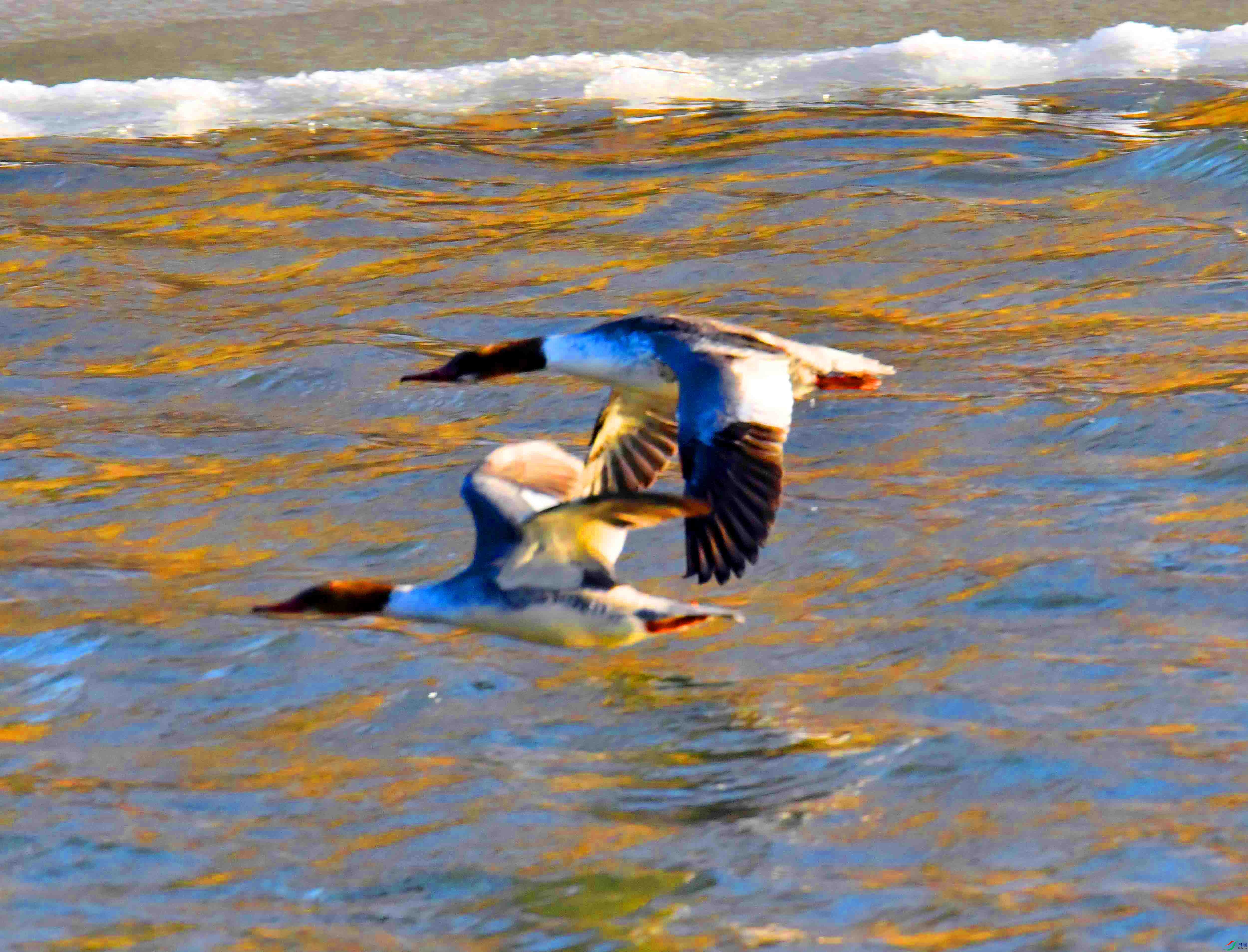 DSC_8845.JPG