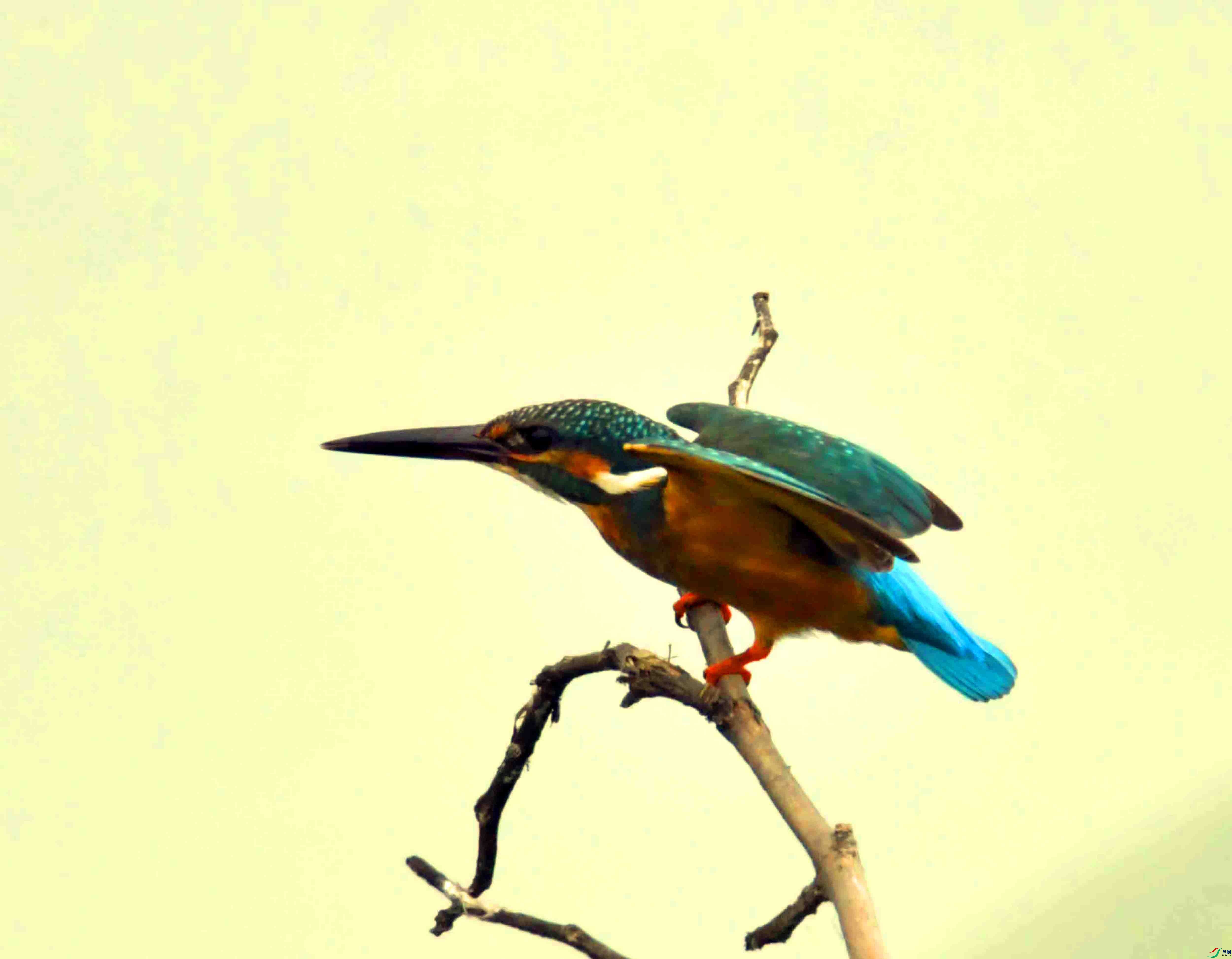 DSC_9859.JPG