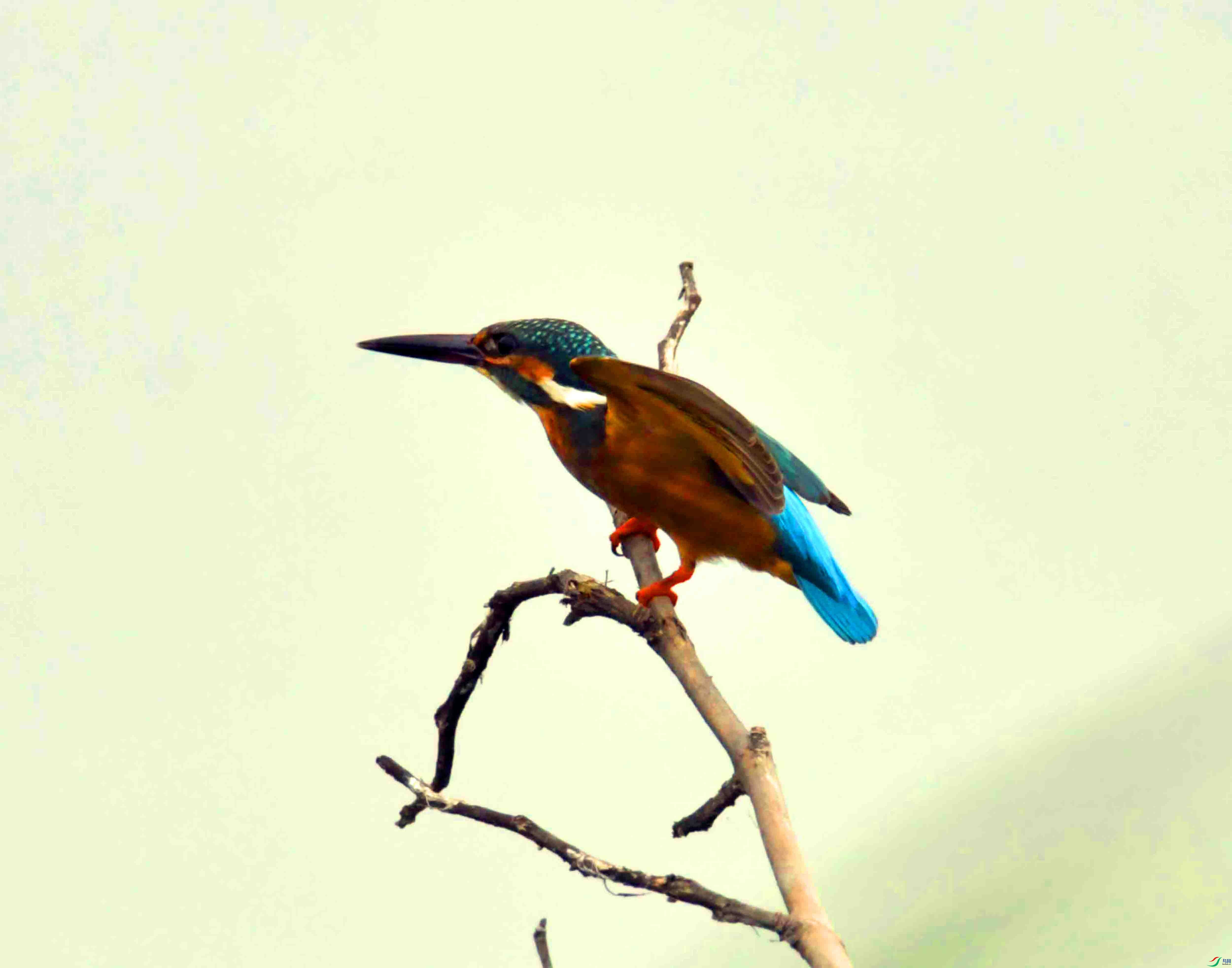 DSC_9861.JPG