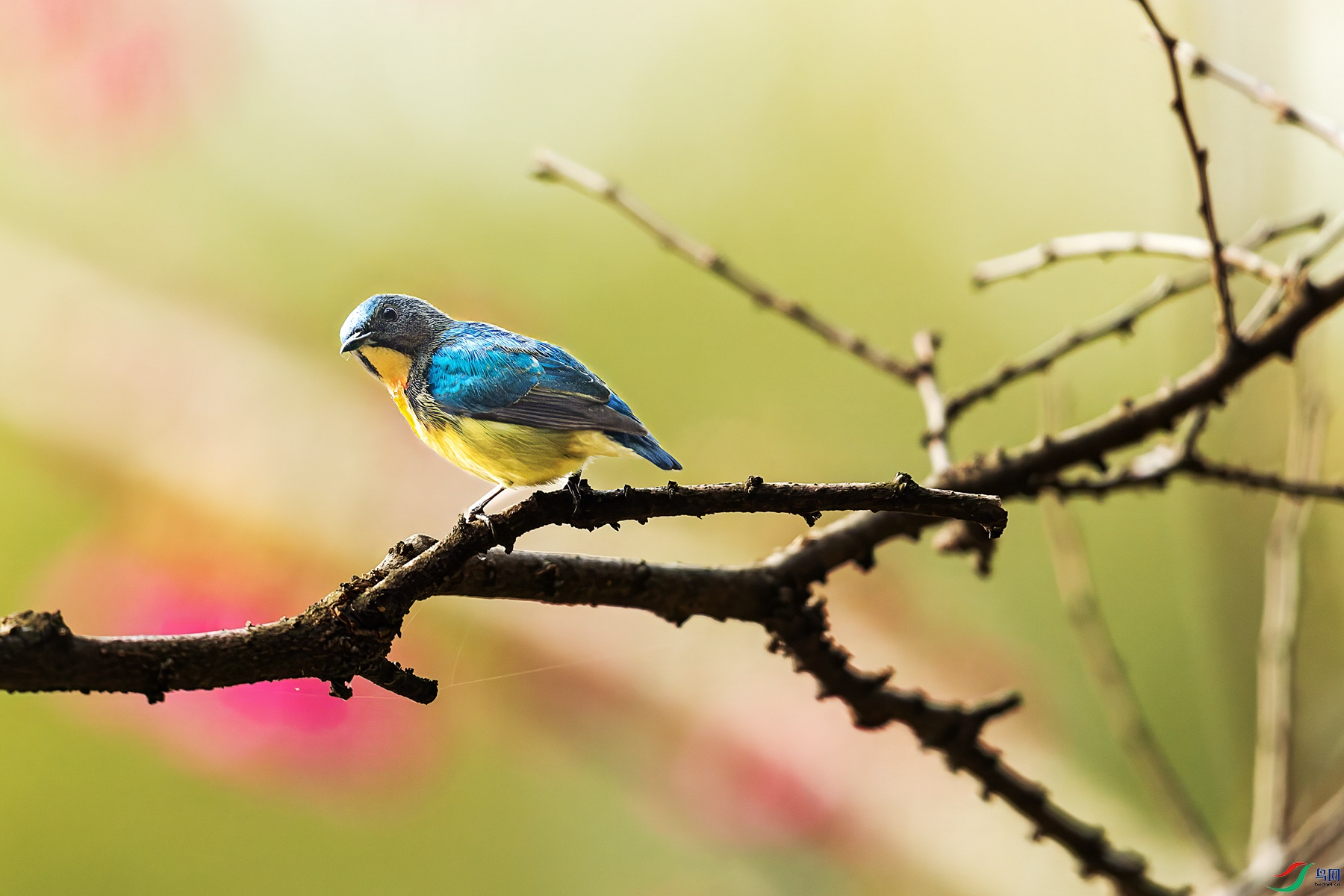 YB0A4065 ����_����.jpg