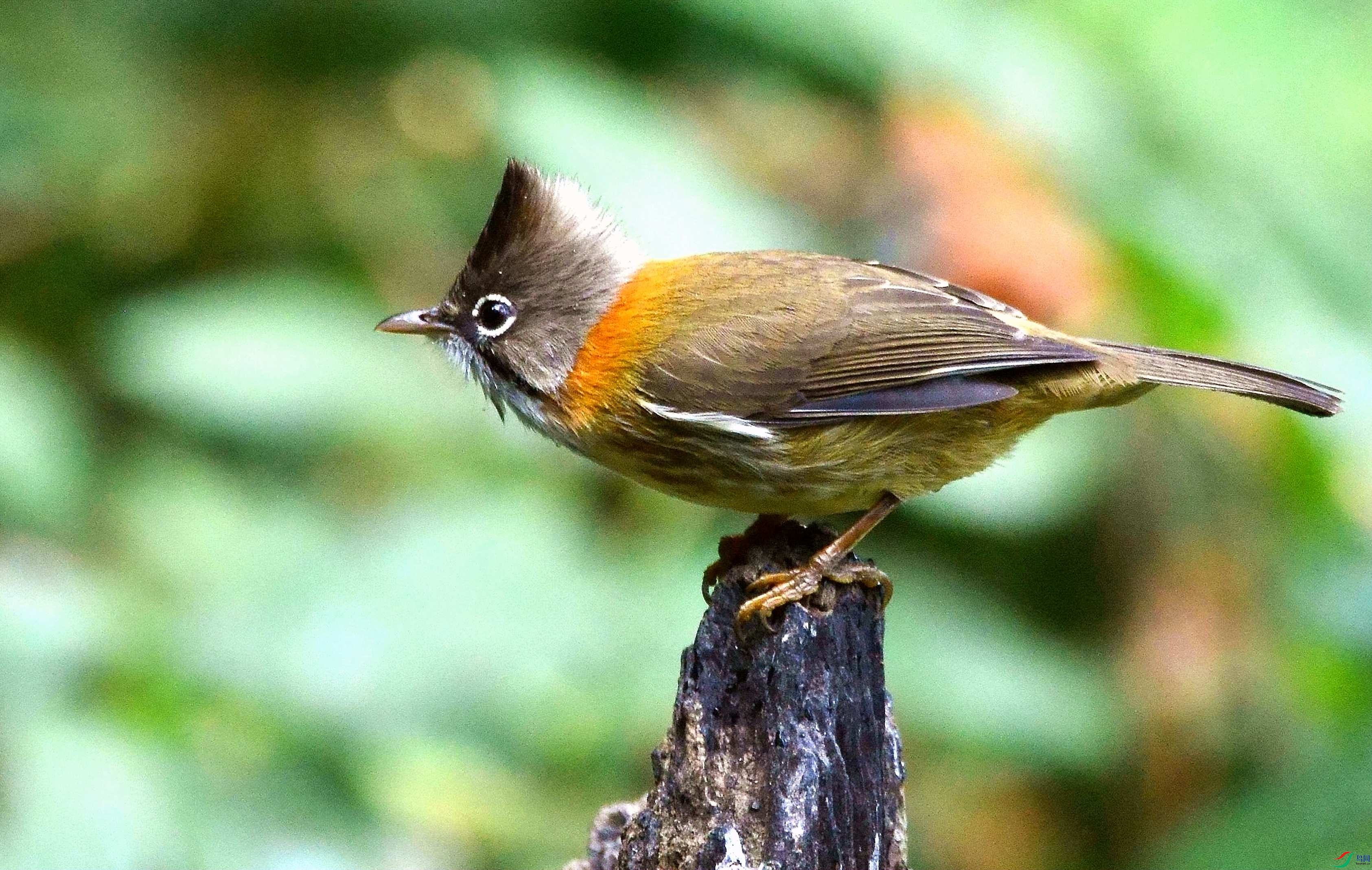 DSC_7654.JPG