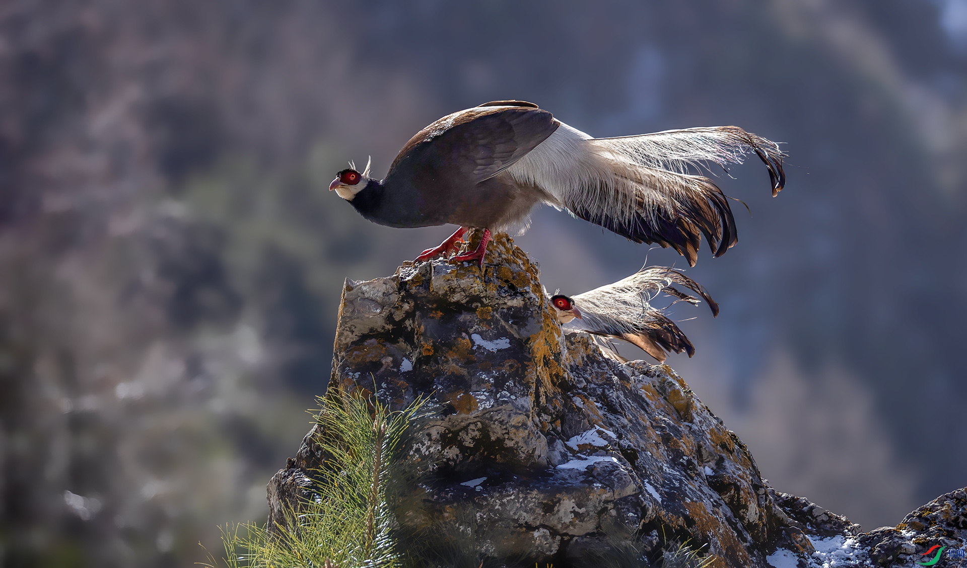 _07A3480 ����-Sh---1+.jpg