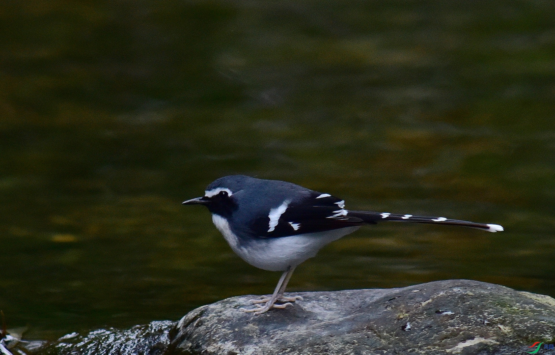 D8I_0231.jpg