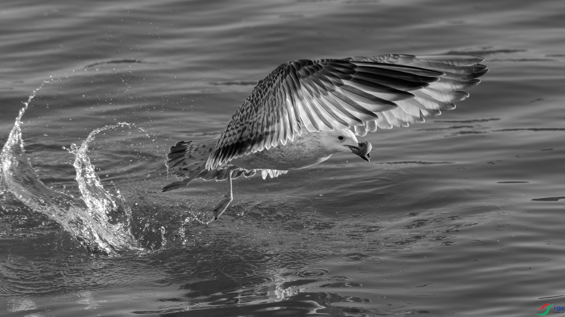 EV3W0704-�༭ (2).jpg