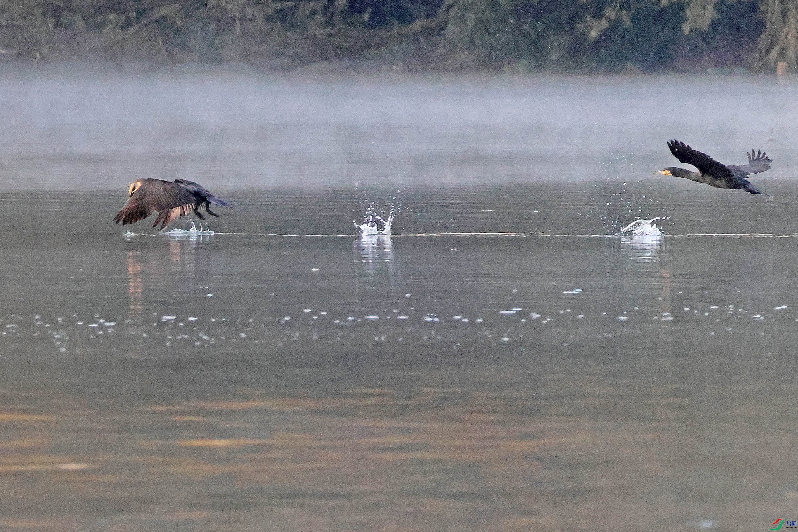 2G9A8258.jpg