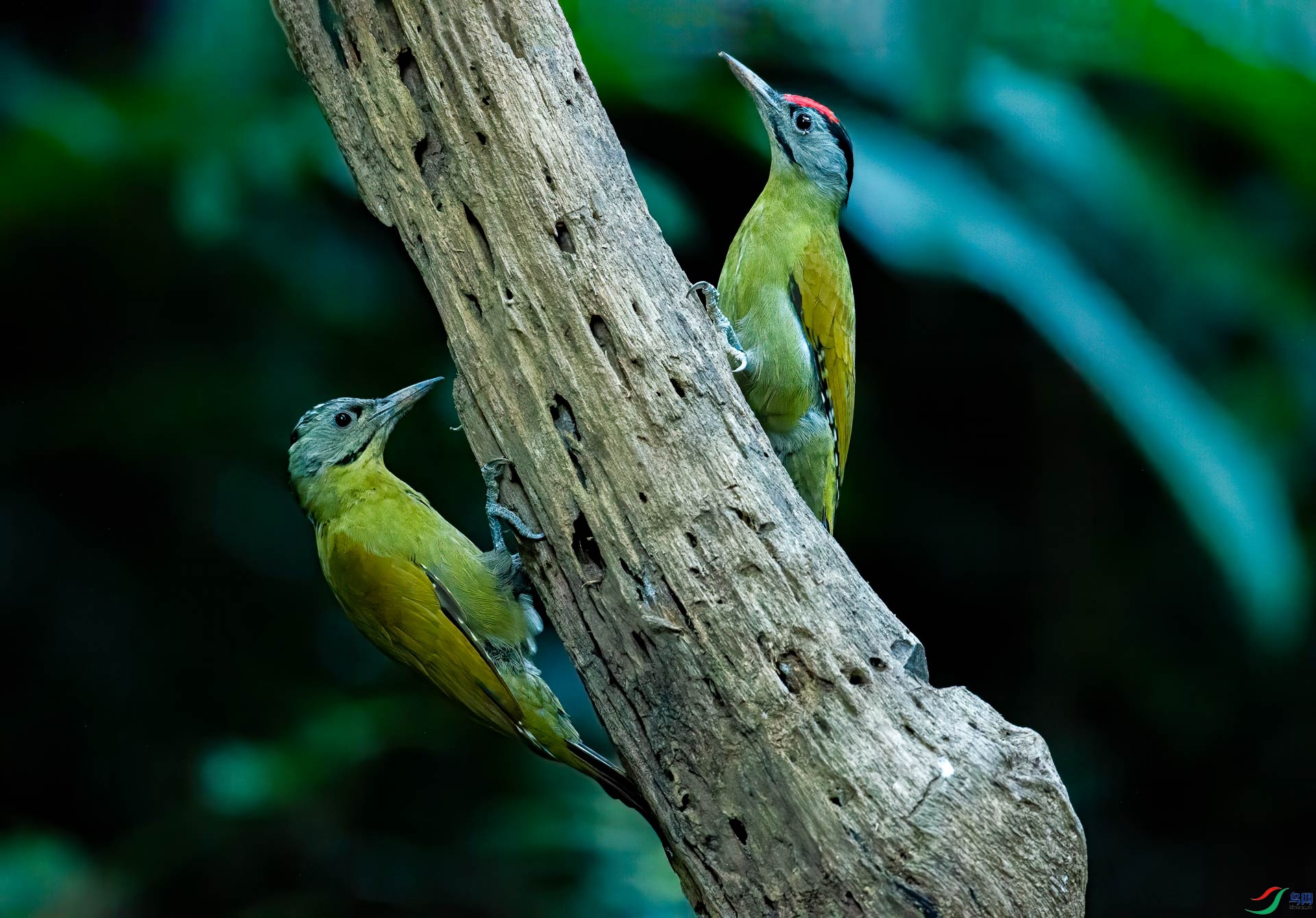 DSC_9446.jpg