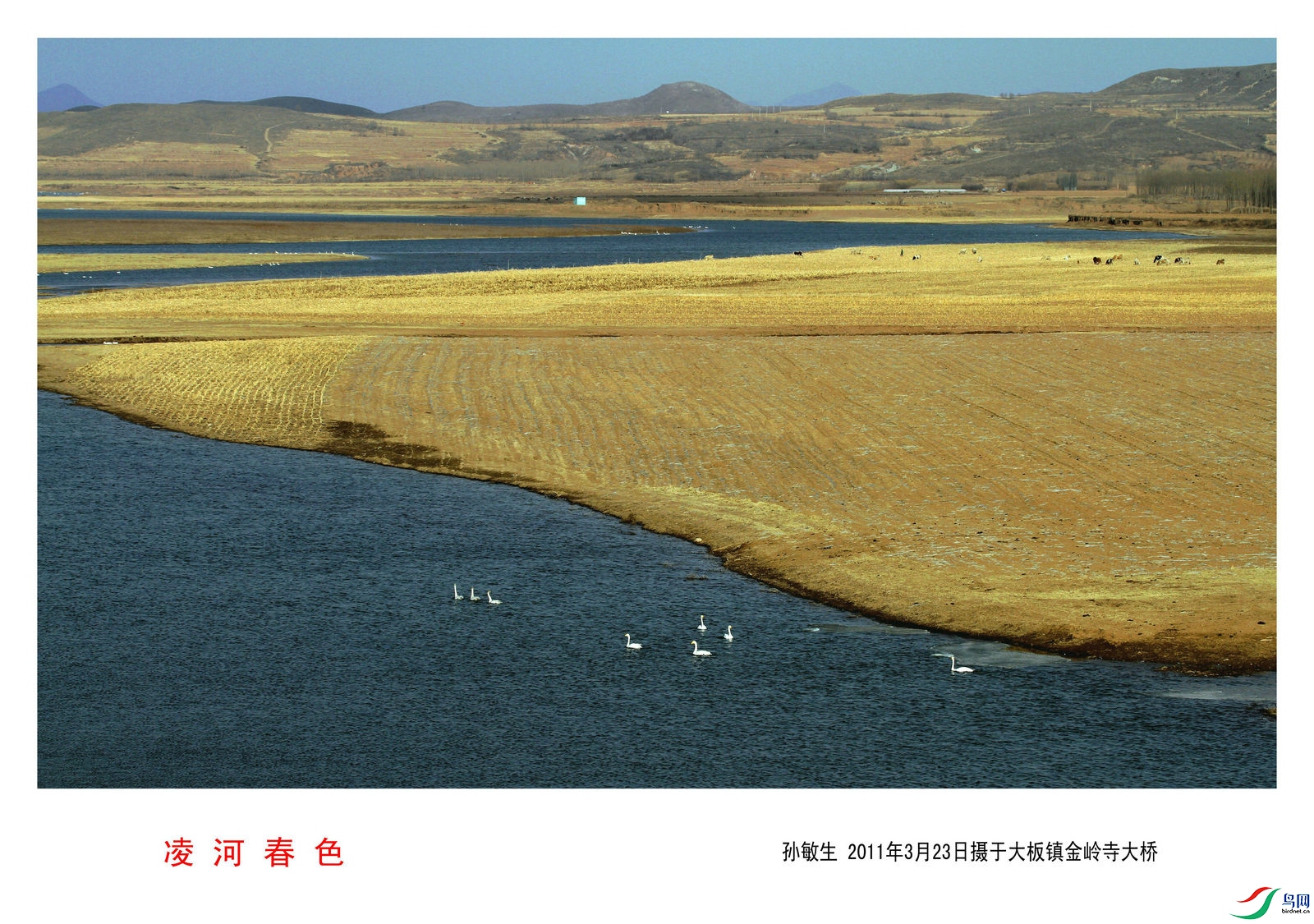 A 7_����.jpg