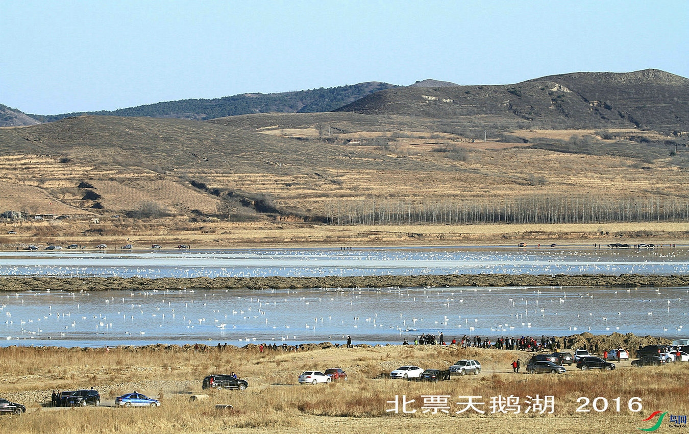 ���� ��_����.jpg