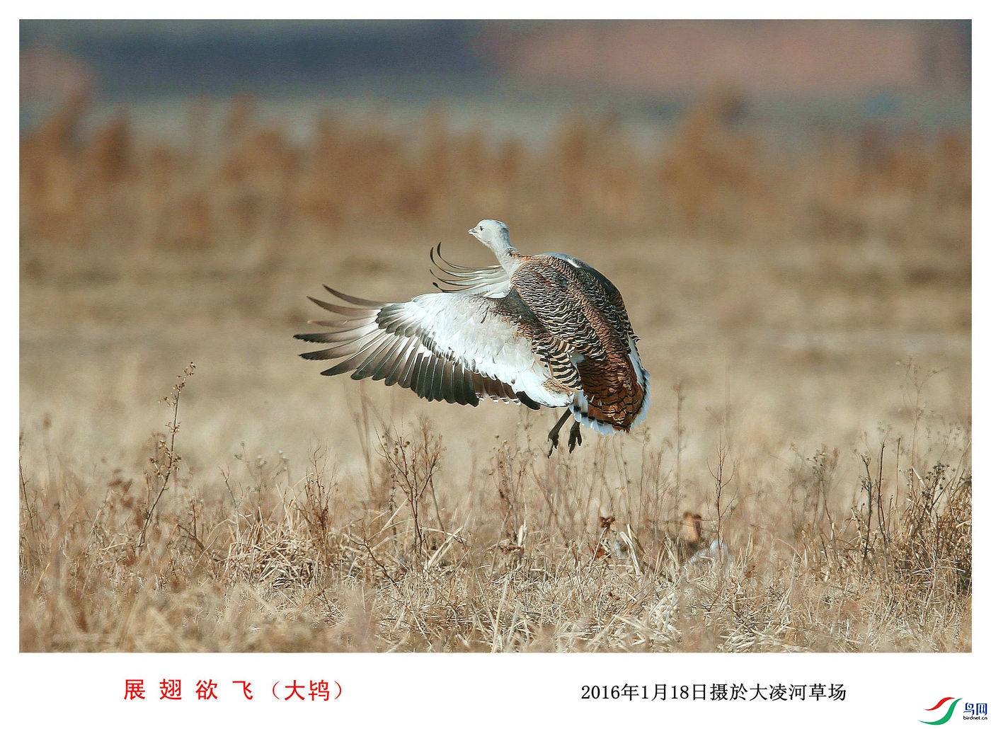 ��ͼ 1_����1.jpg