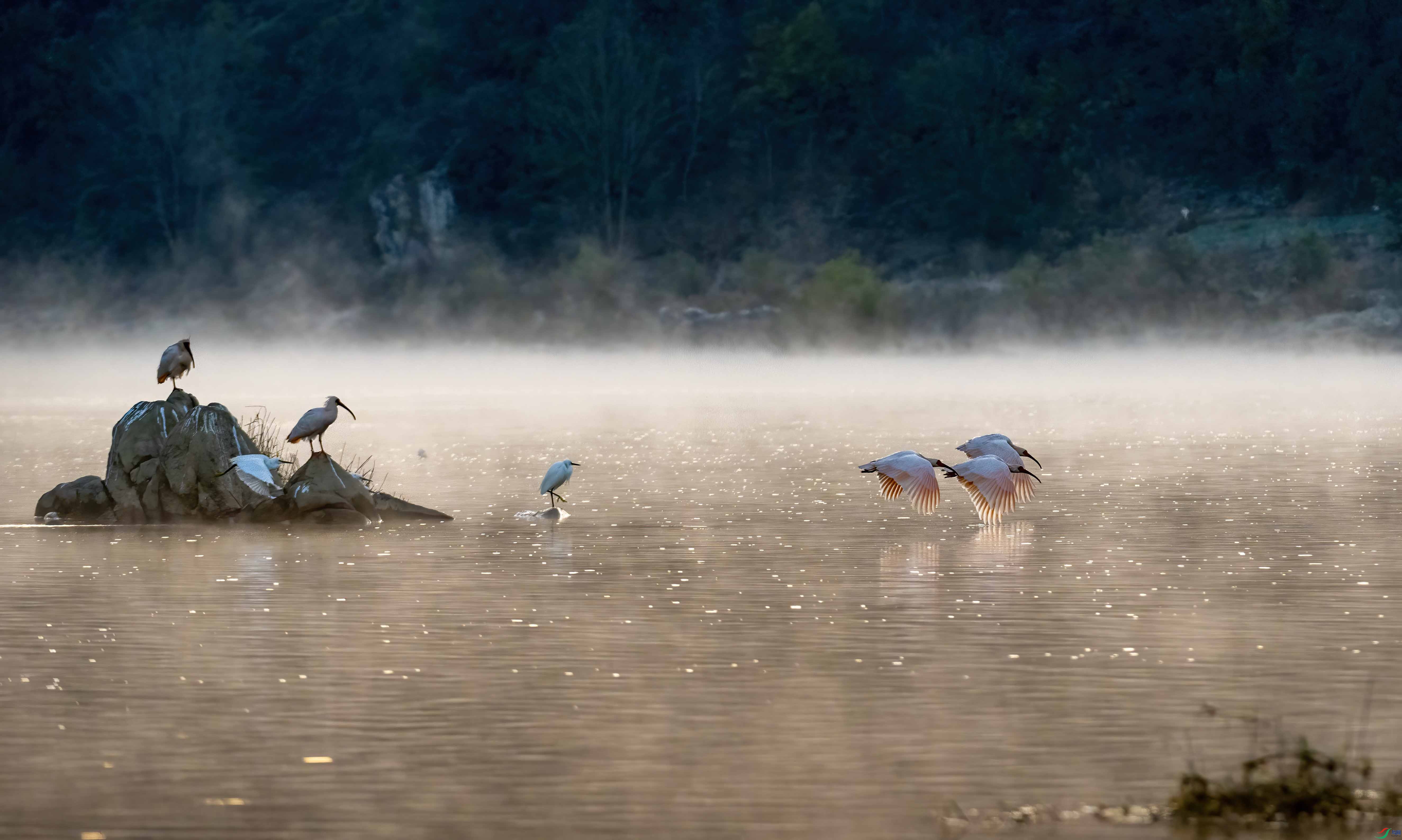 DSC_7245 ����.jpg