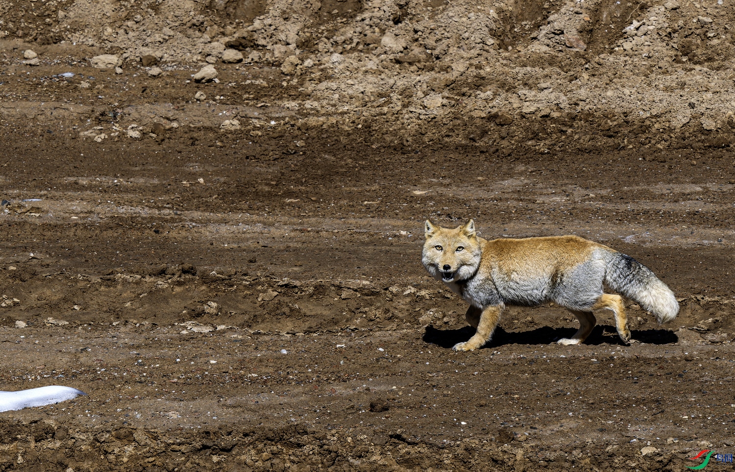 �غ������أ� (475)-1.jpg