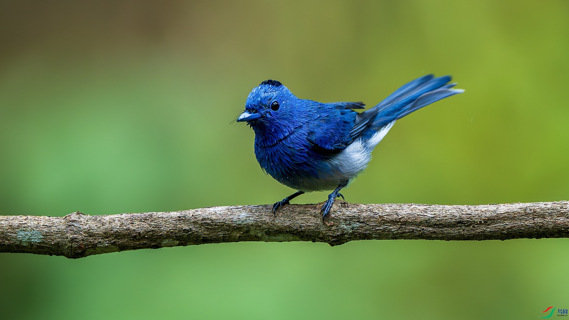 1_XXL1434-����ǿ-NR ����.jpeg