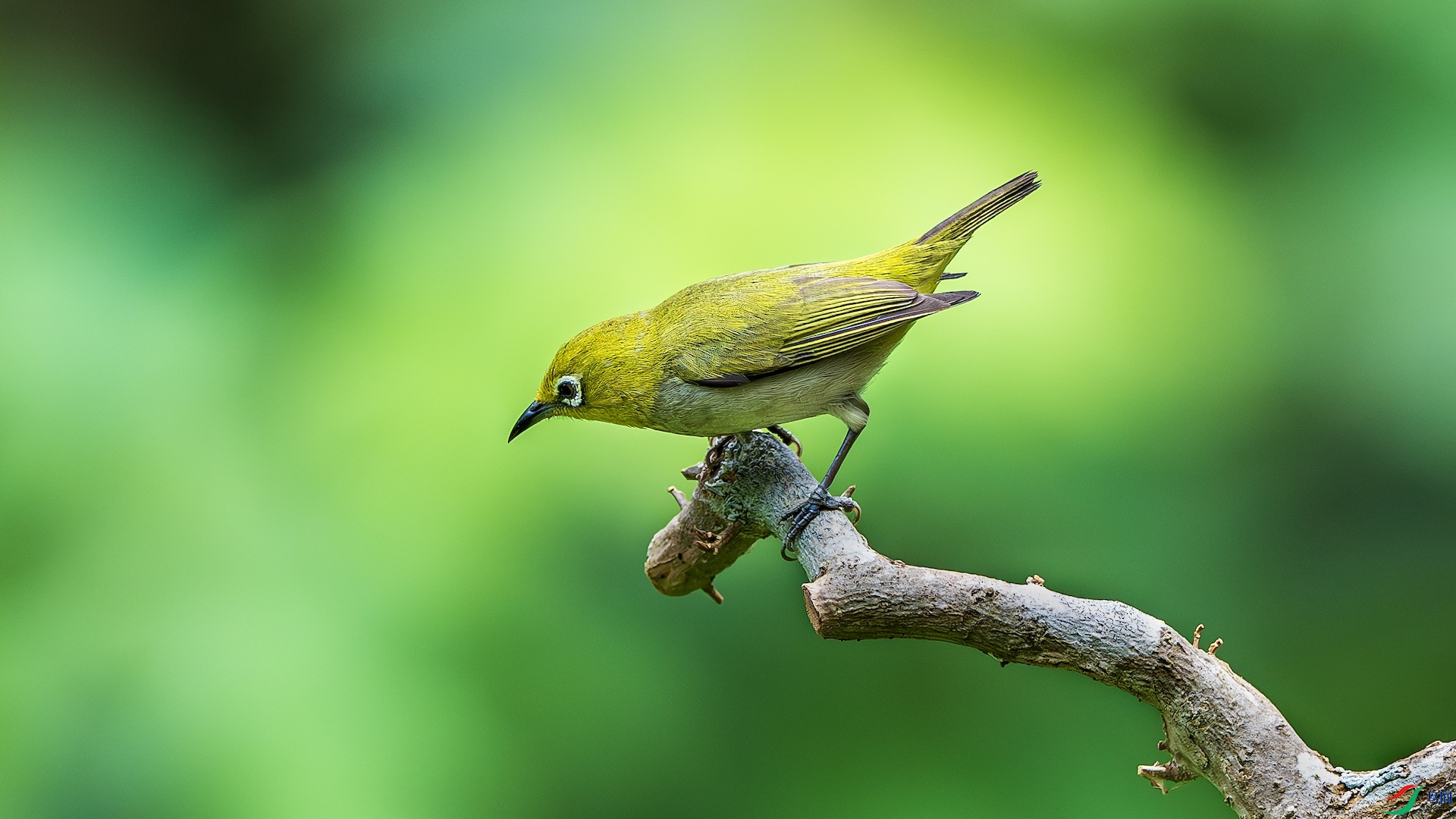 1_XXL1489-����ǿ-NR ����.jpeg