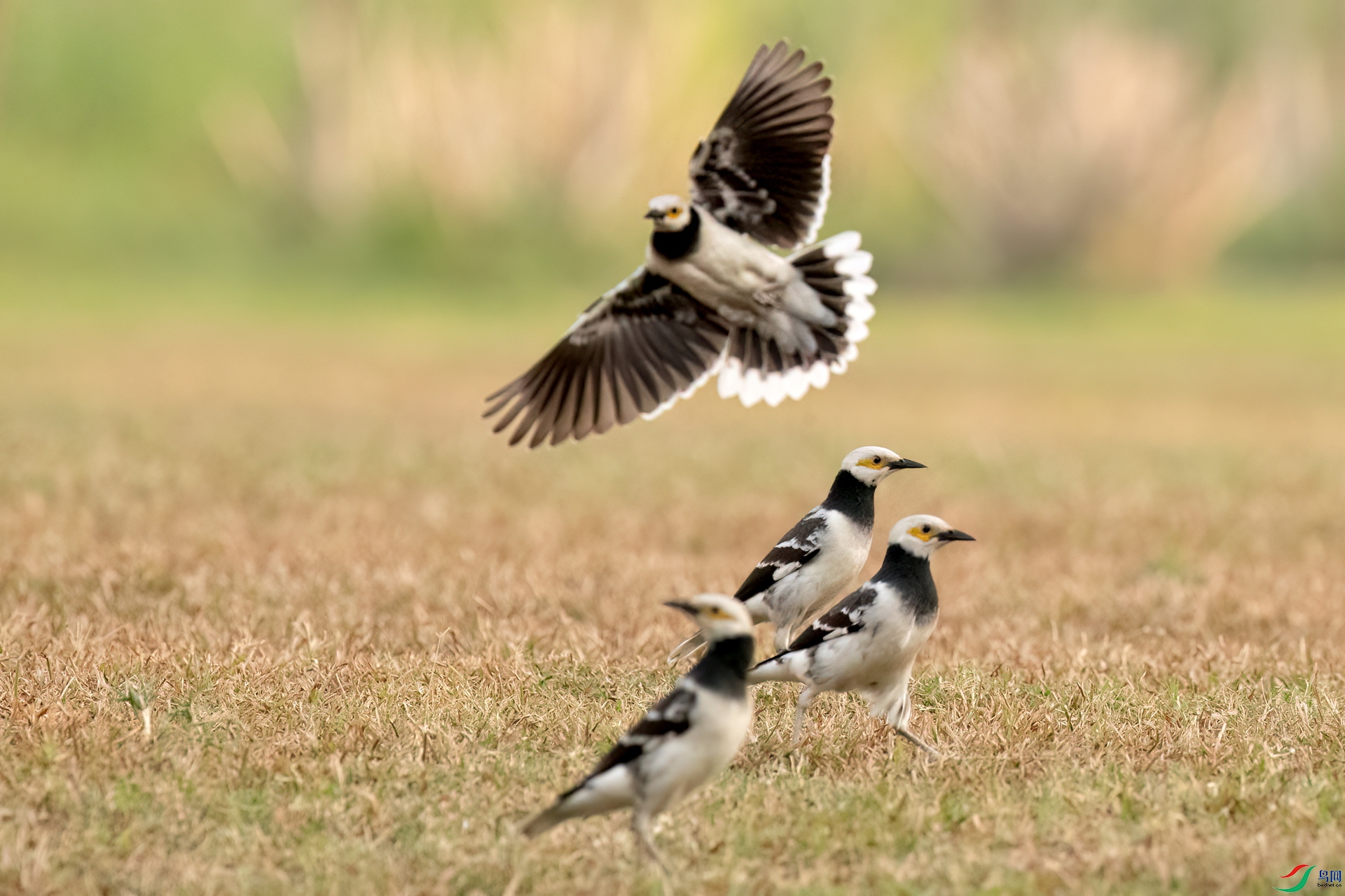 B86I3464 _����.jpg