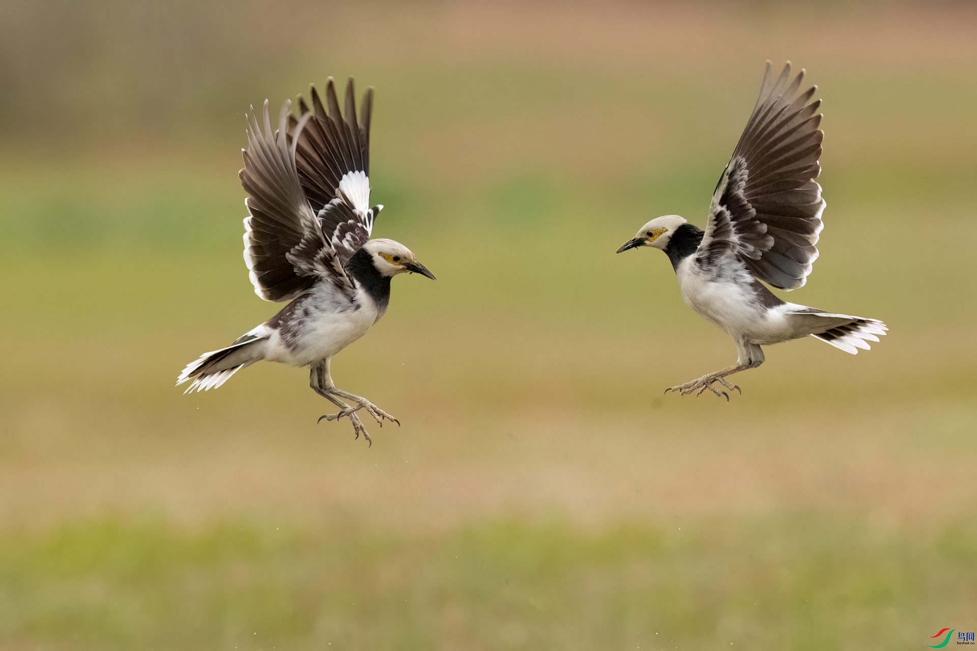 B86I7150 _����.jpg