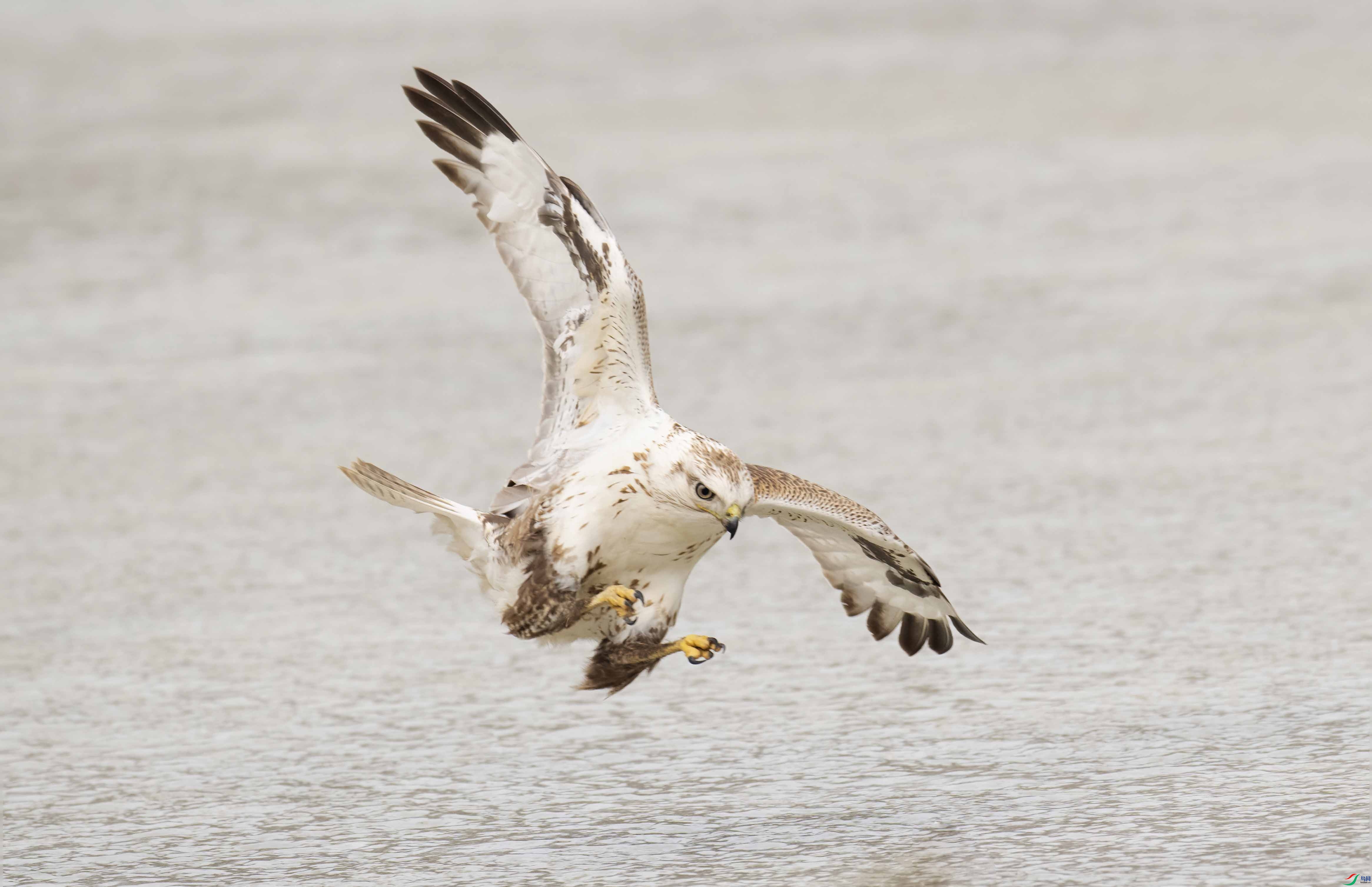 DSC_3987 ���� 2.jpg