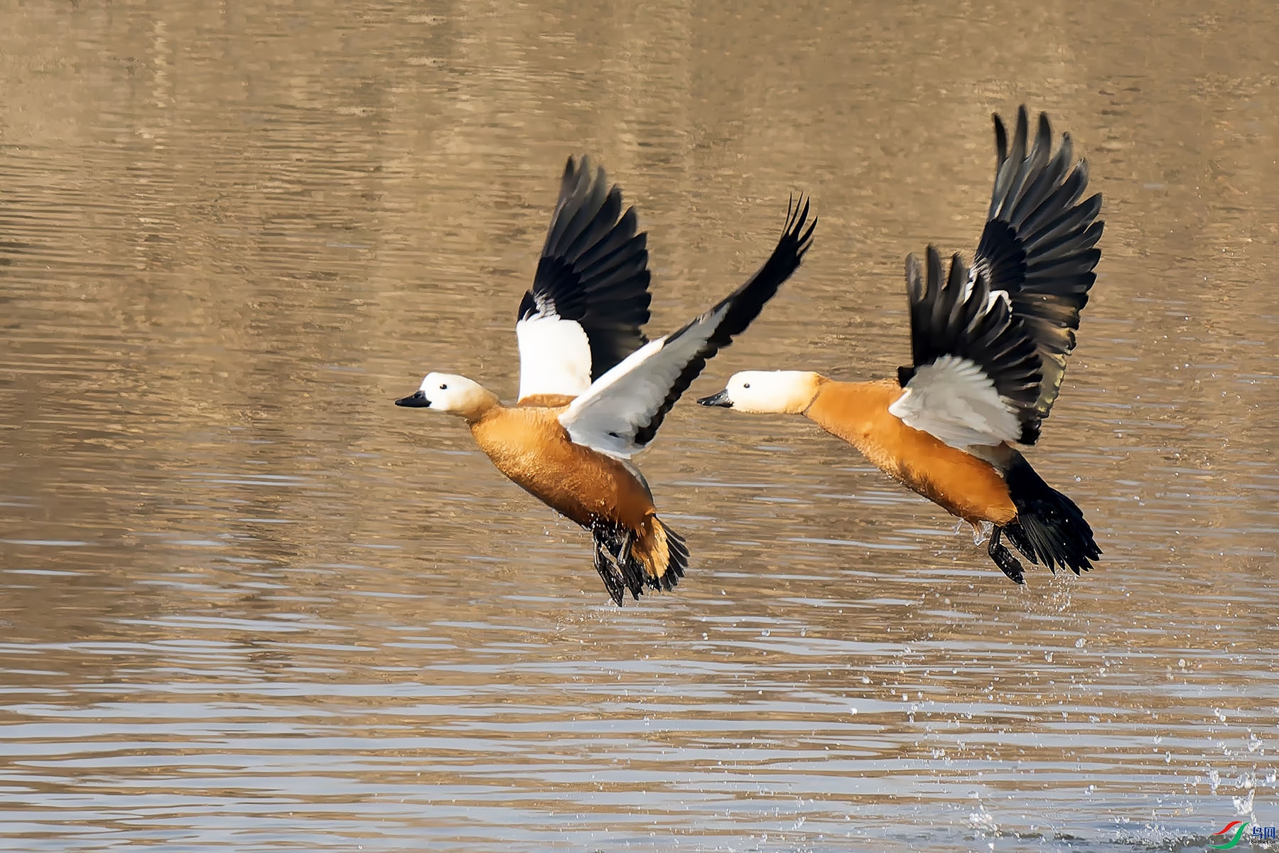 20240111-P1110884-2 ���� 2.jpg