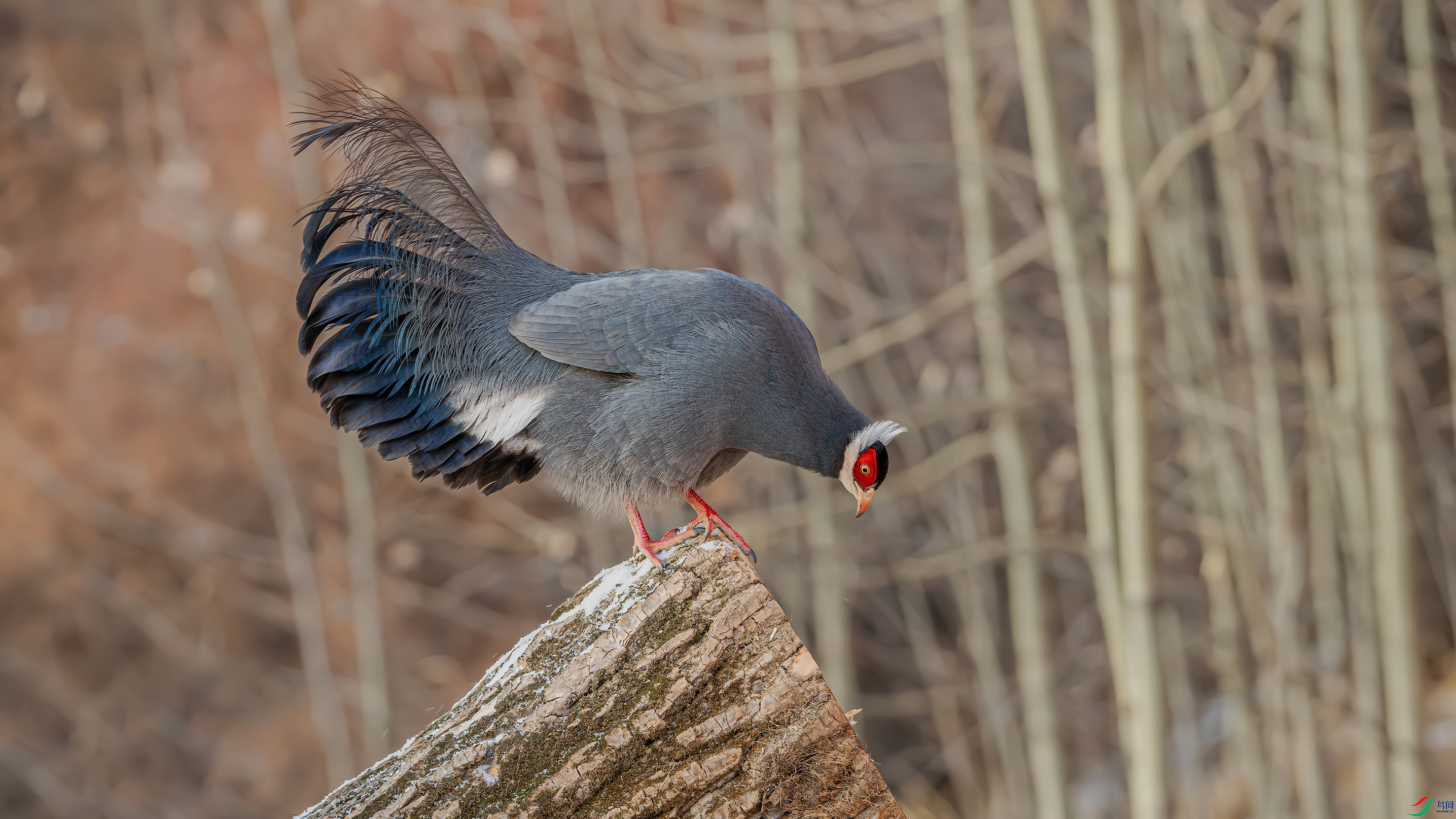 DSC_1342.jpg