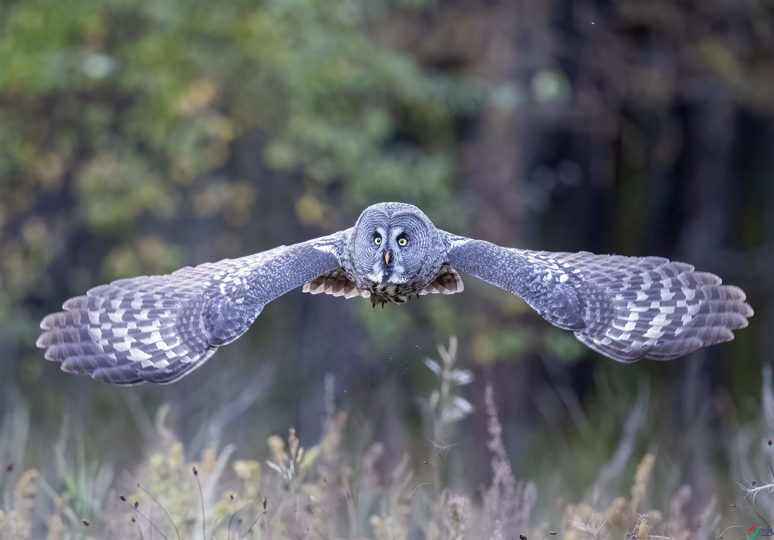 AC3I7100 ����.jpg