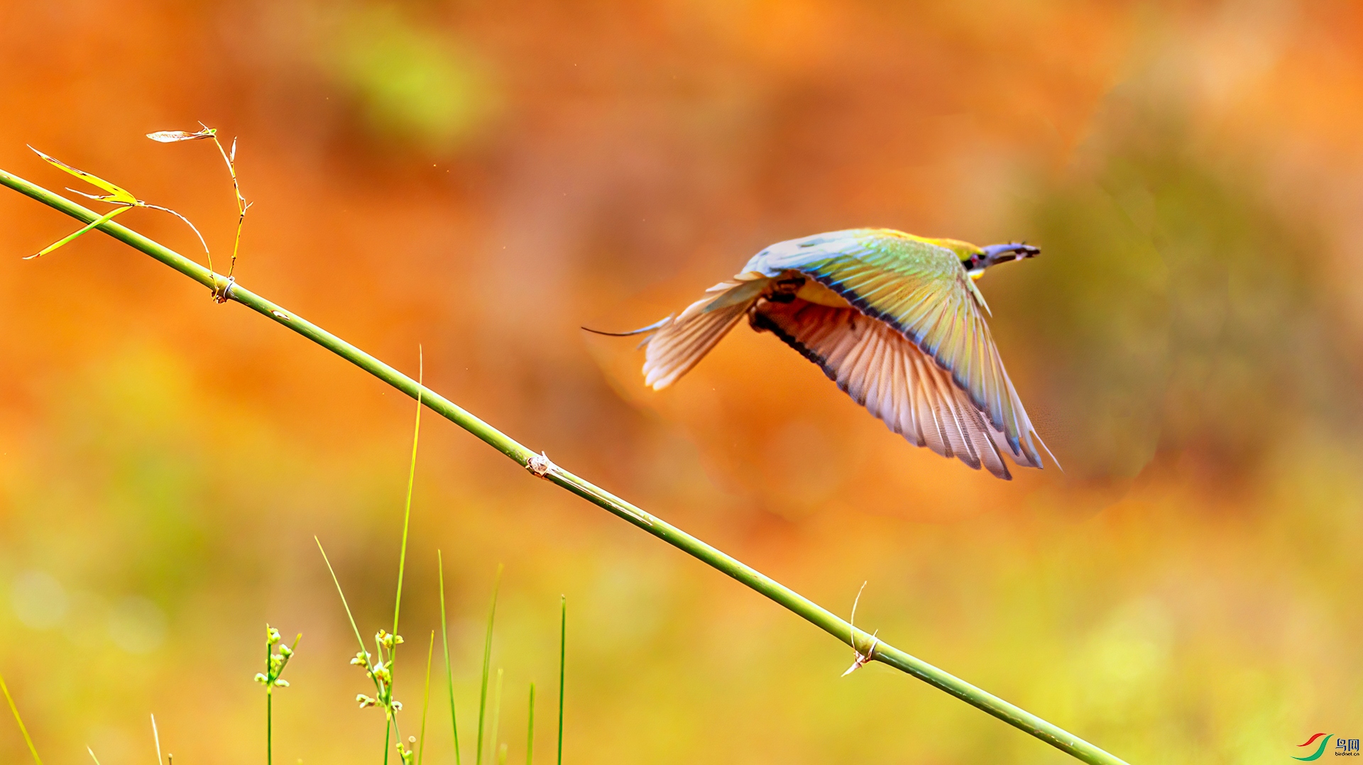 407A0333 ����-Sh--1 .jpg