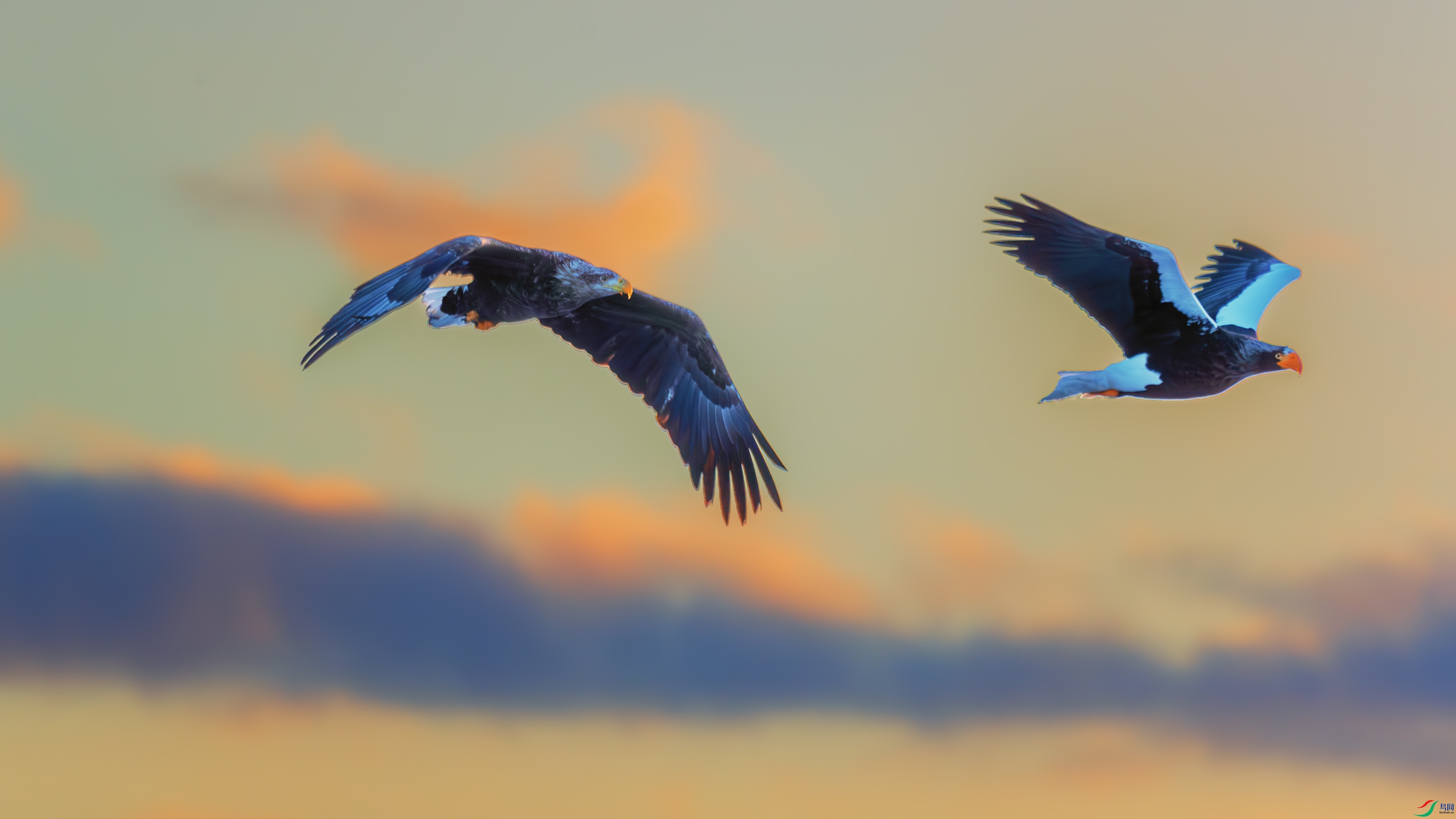 DSC_6226-����ǿ-NR-1 ����.jpg