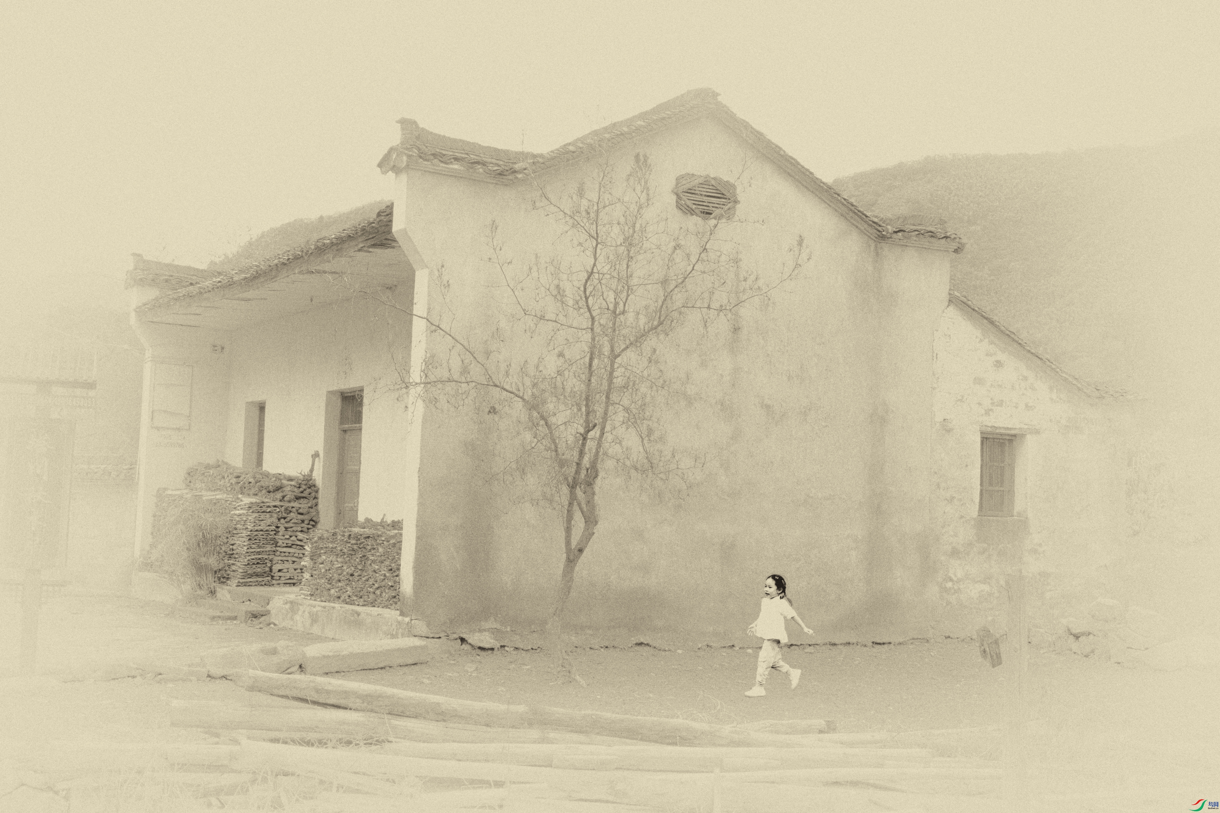 _DSC6816-����ǿ-NR1 ����.jpg