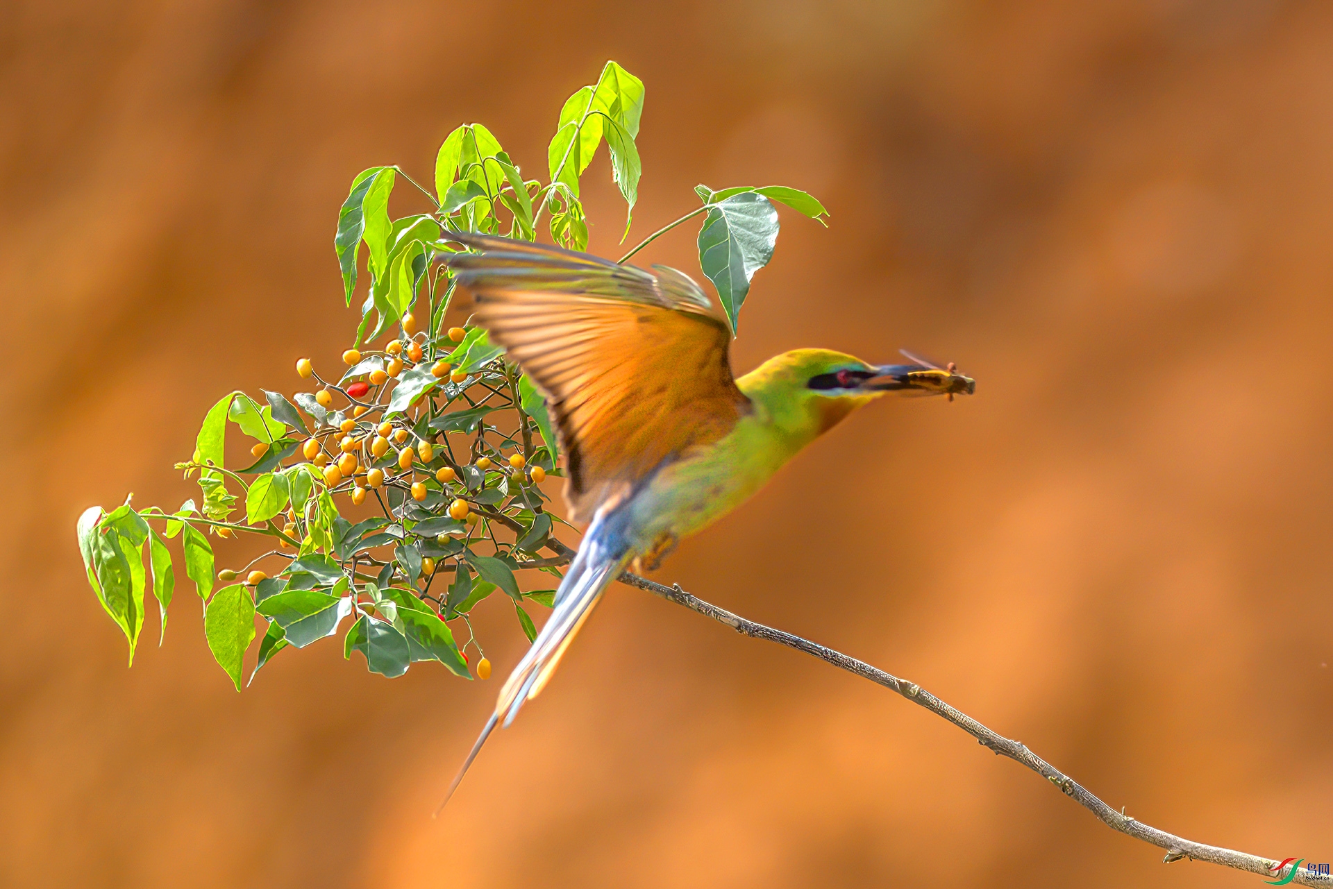 407A4823-Sh----1 .jpg