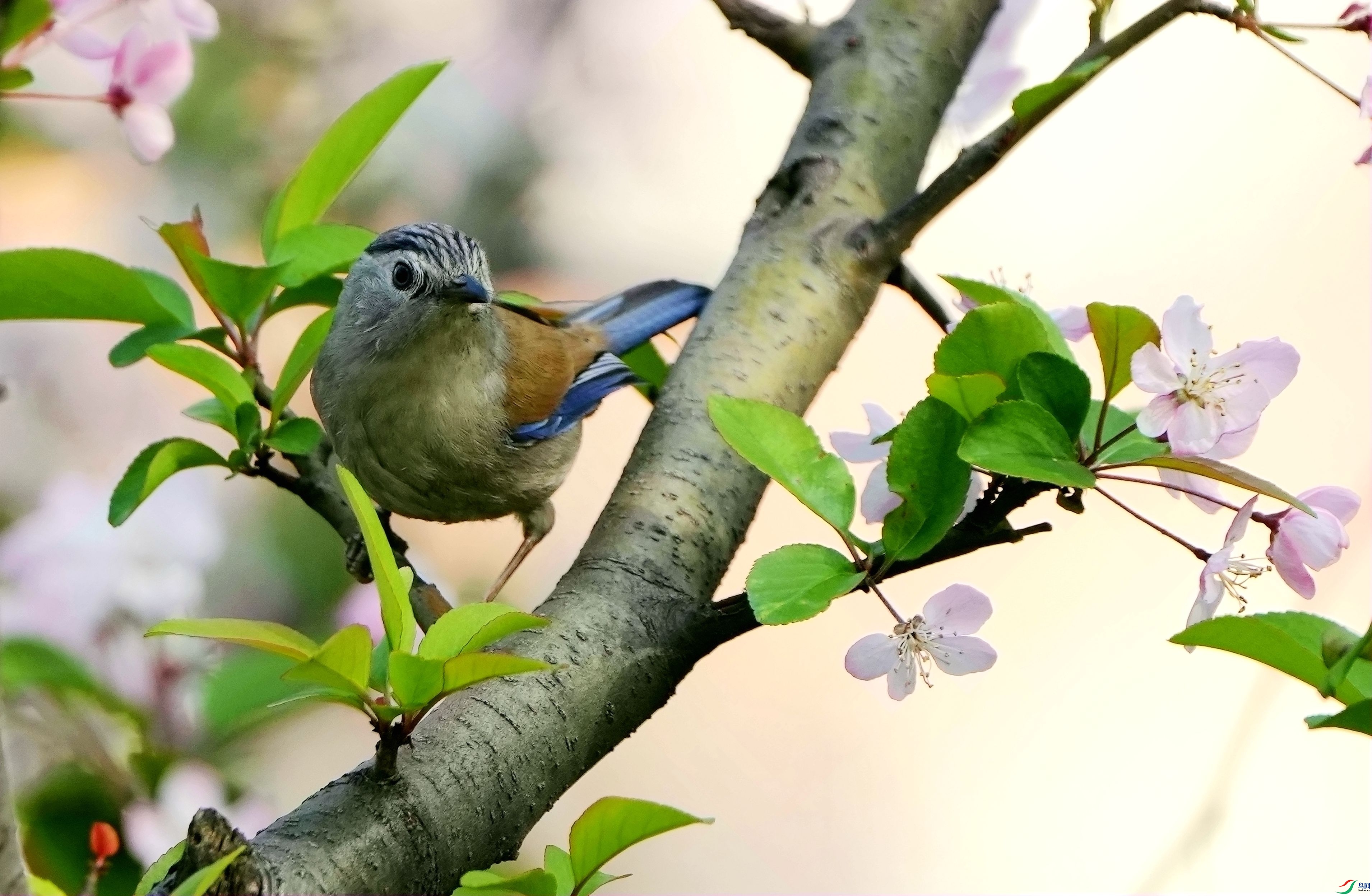 ����ϣ���뺣�Ļ�DSC03462_����.jpg