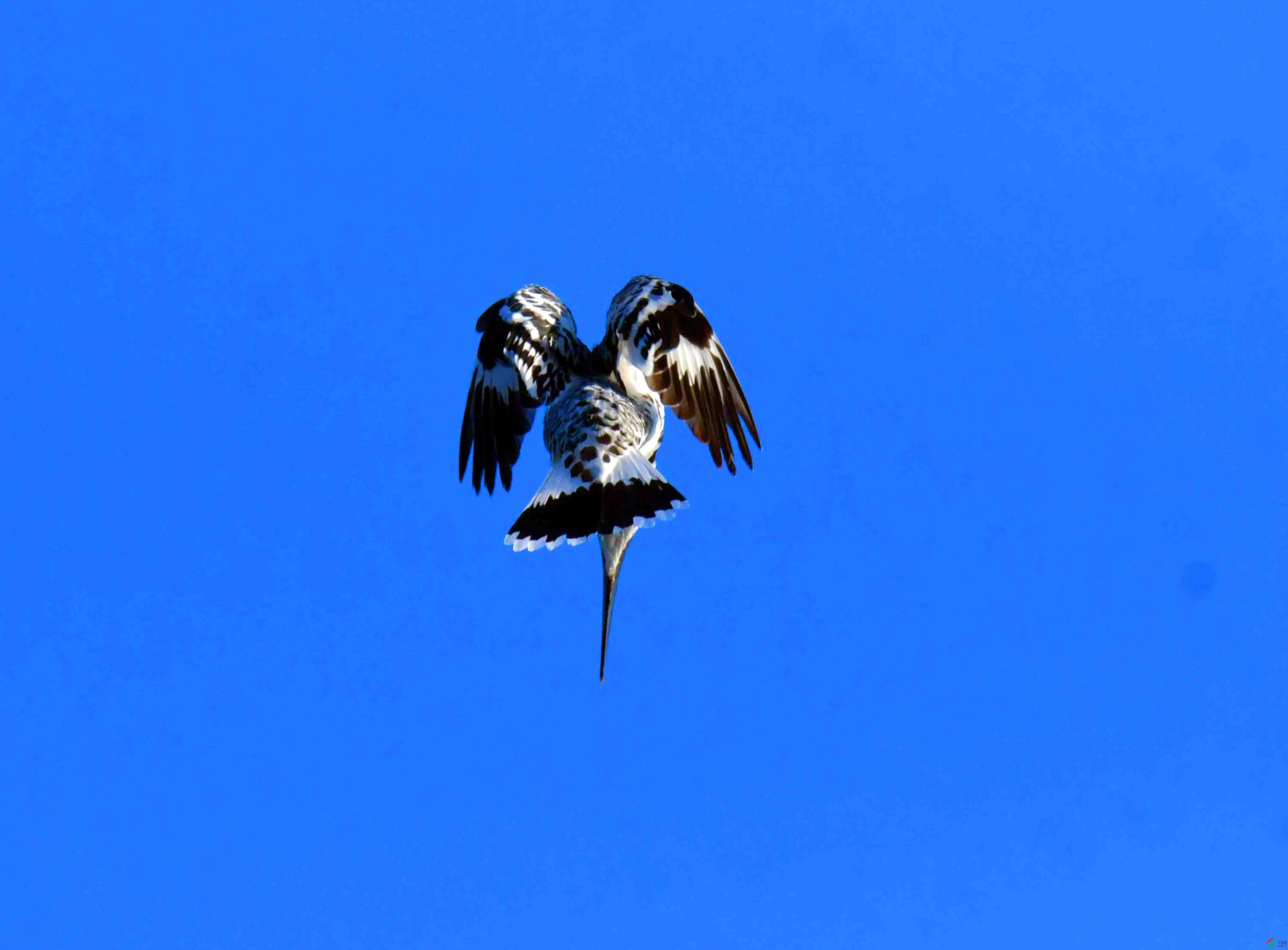 DSC_4033.JPG