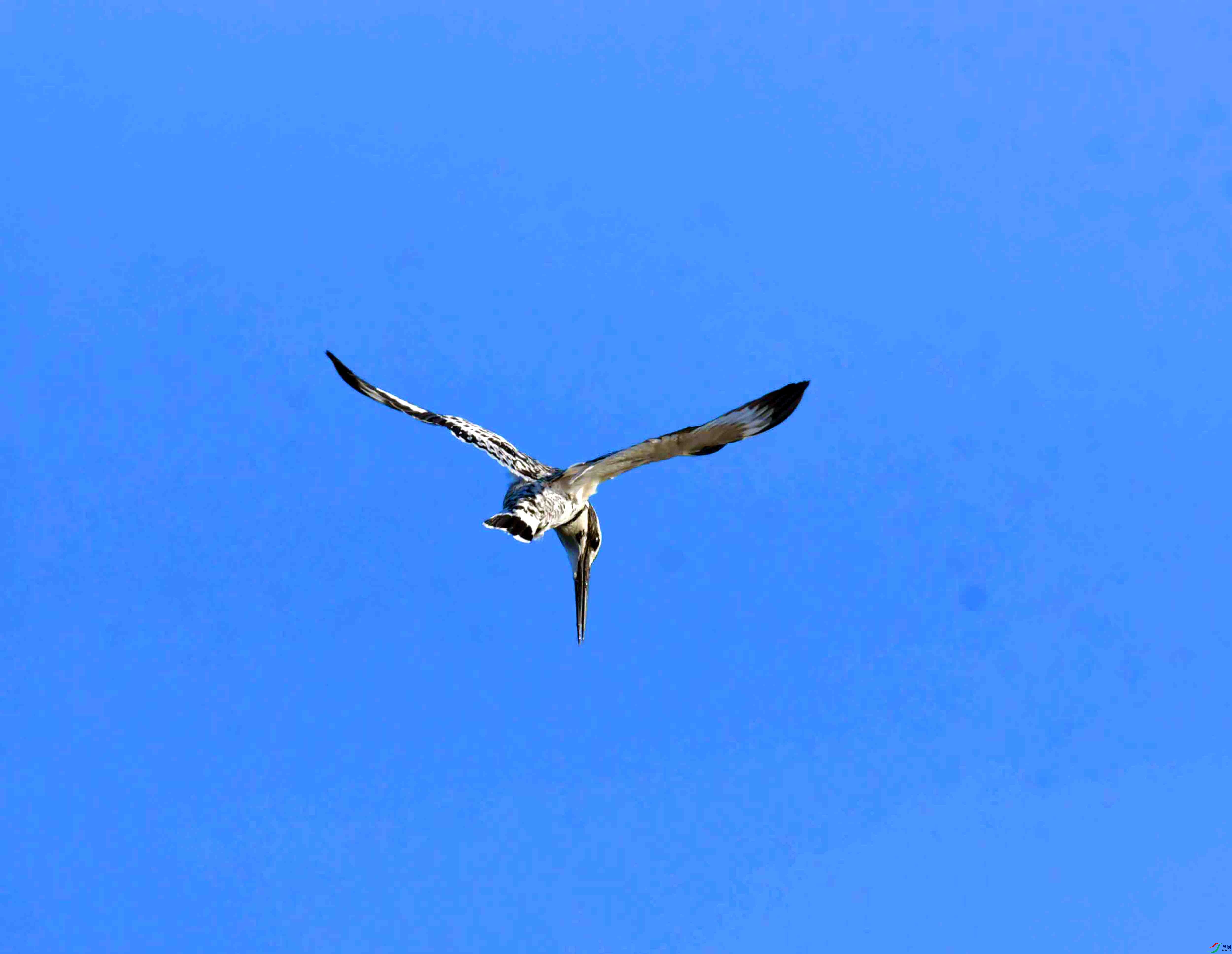 DSC_4052.JPG