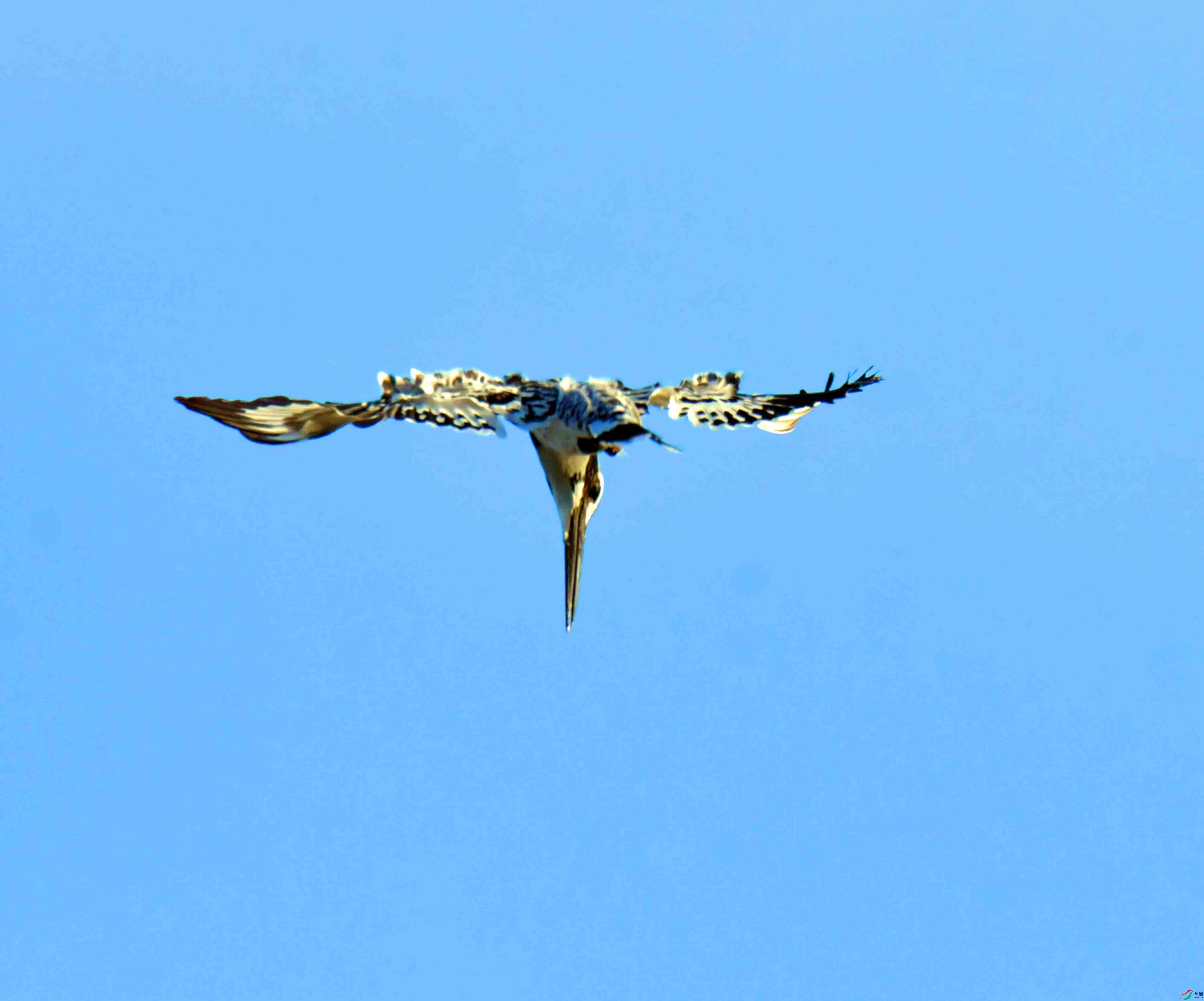 DSC_4054.JPG