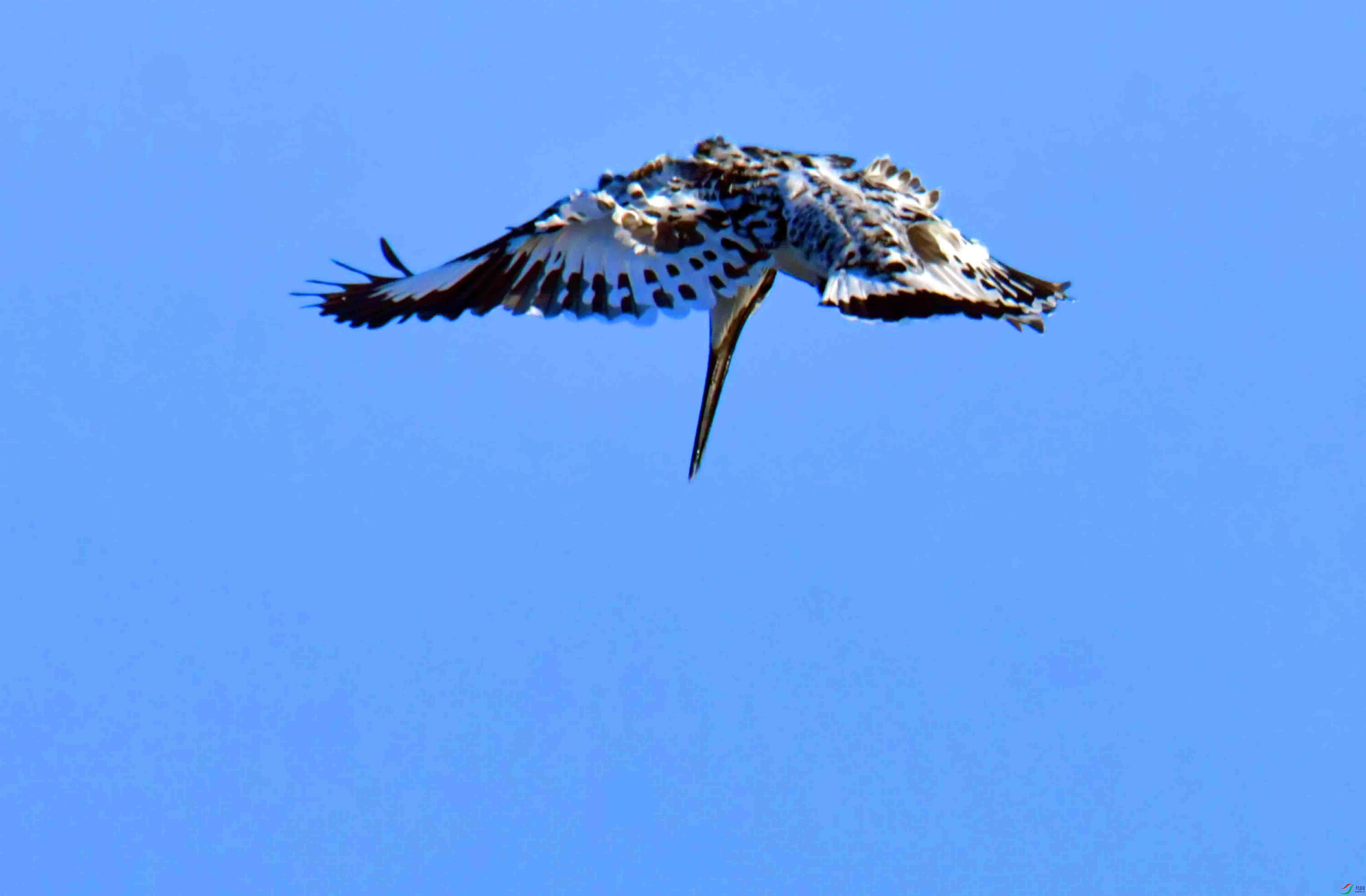 DSC_4055.JPG