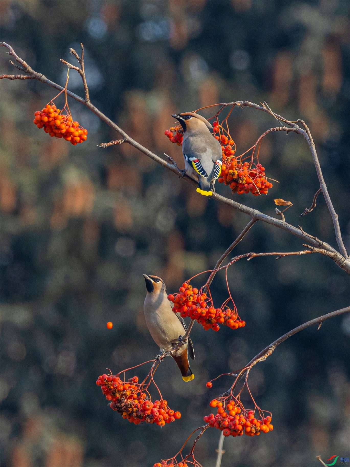 1K3A7770 ����1.jpg