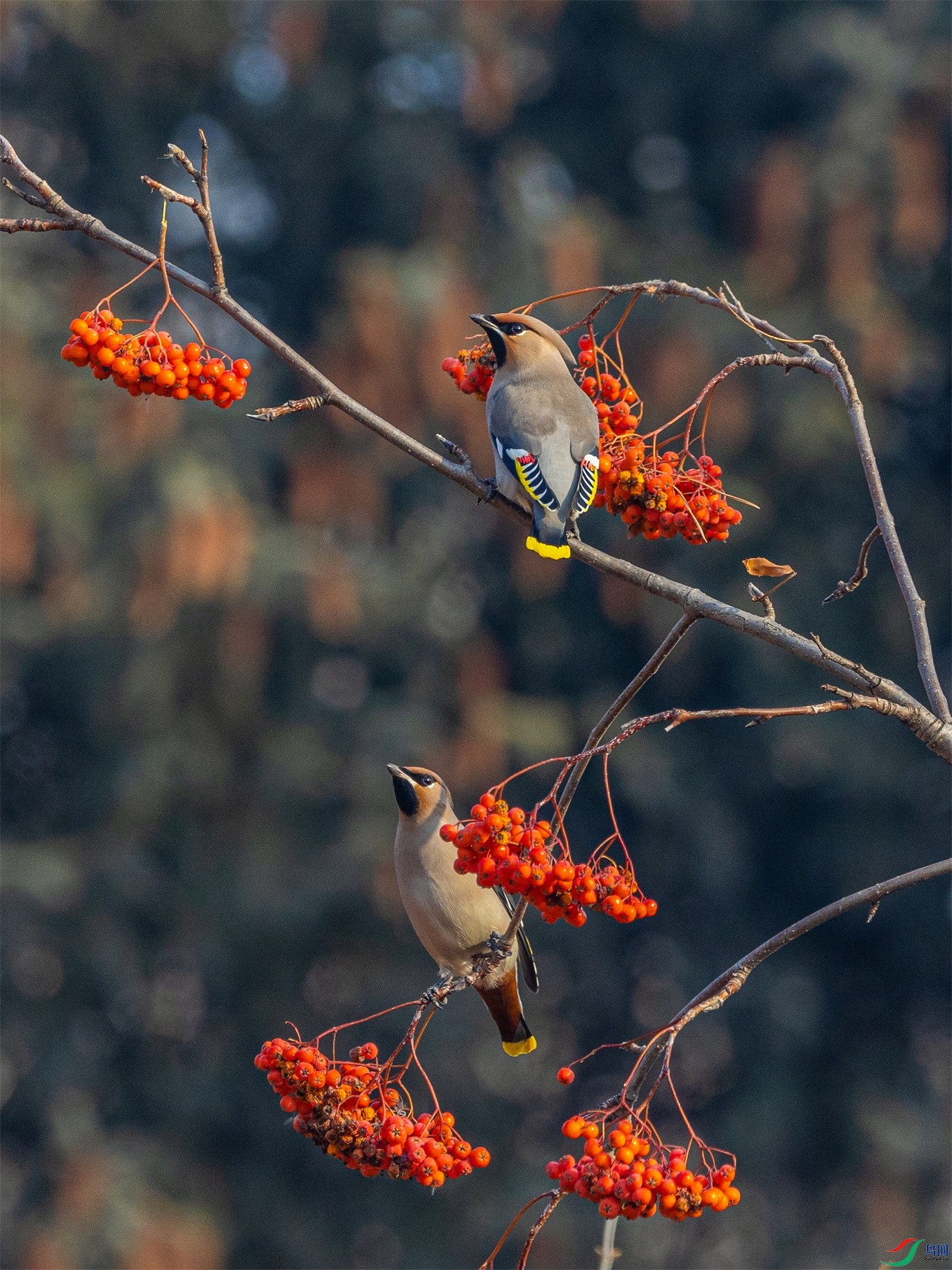 1K3A7778 ����1.jpg