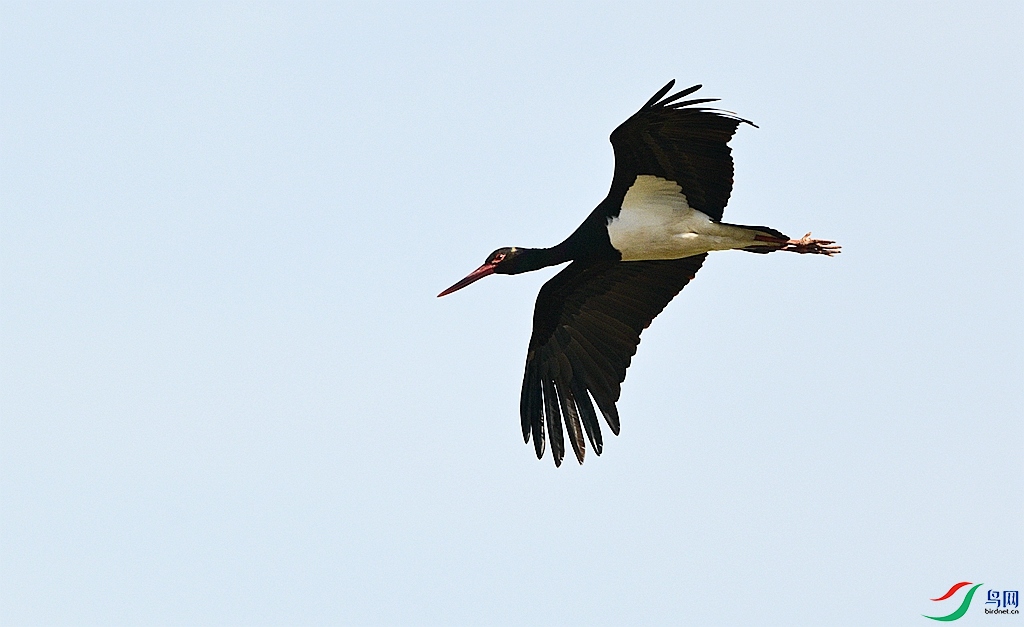 DSC_5938.JPG