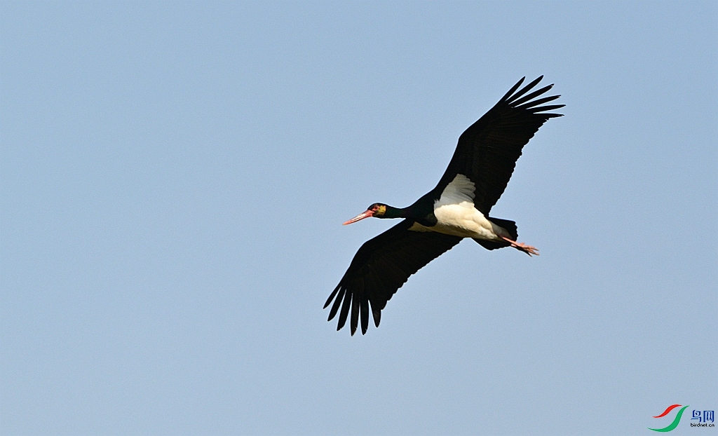 DSC_5817.JPG