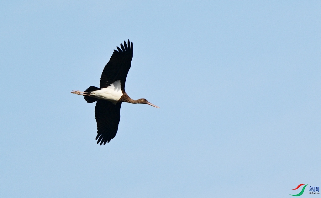 DSC_5494.JPG